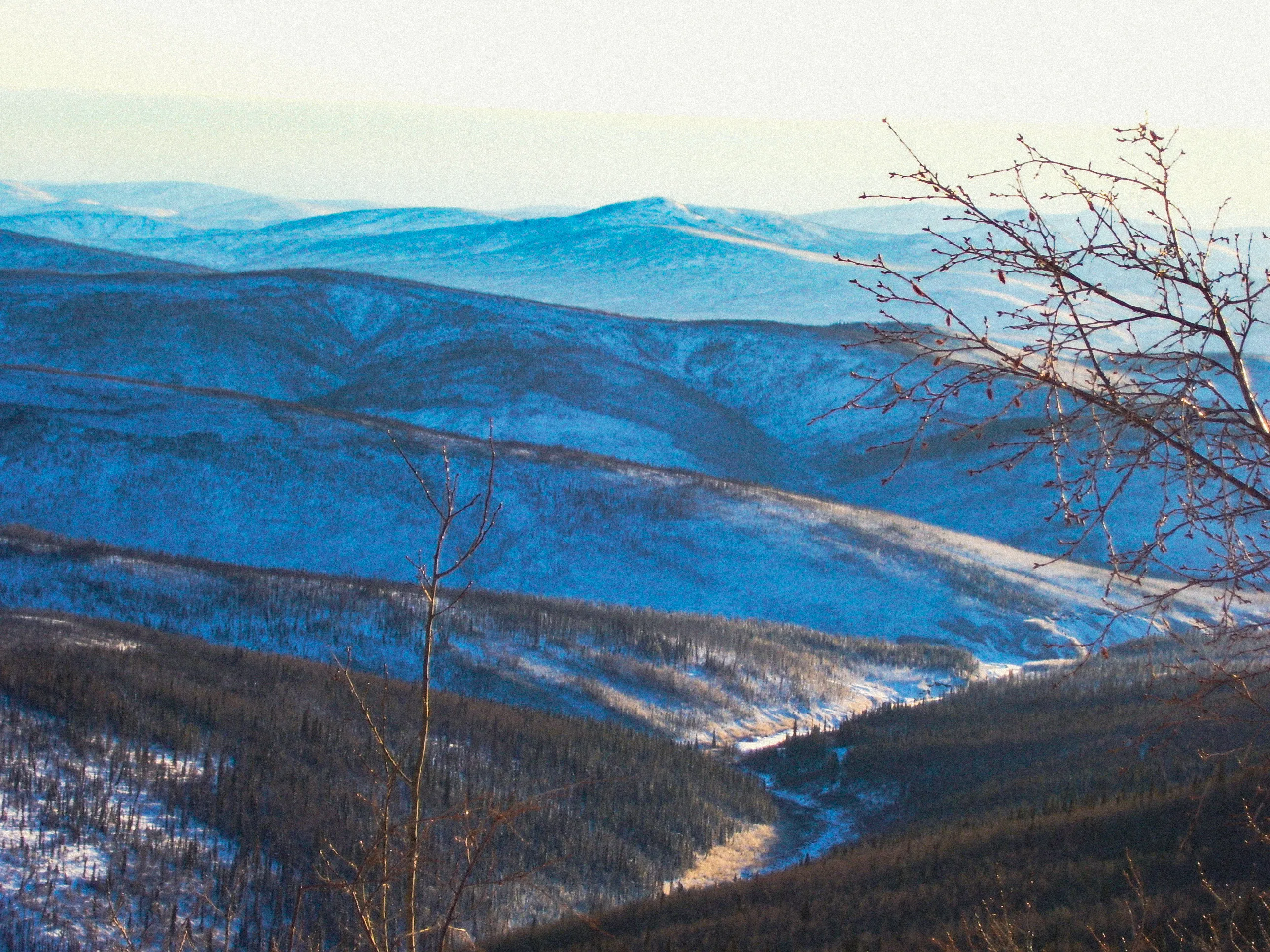 the true north