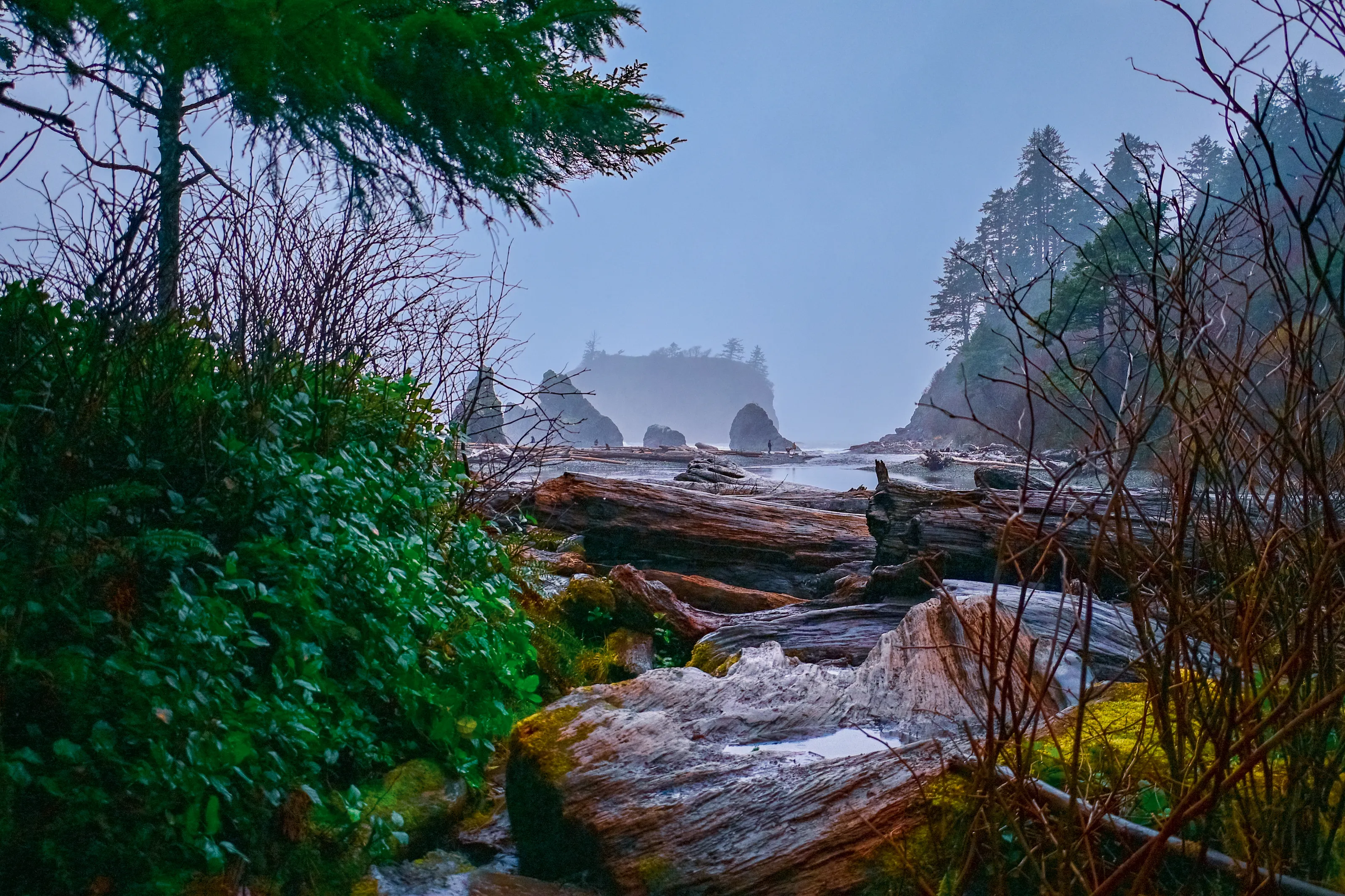 Rialto Beach, WA