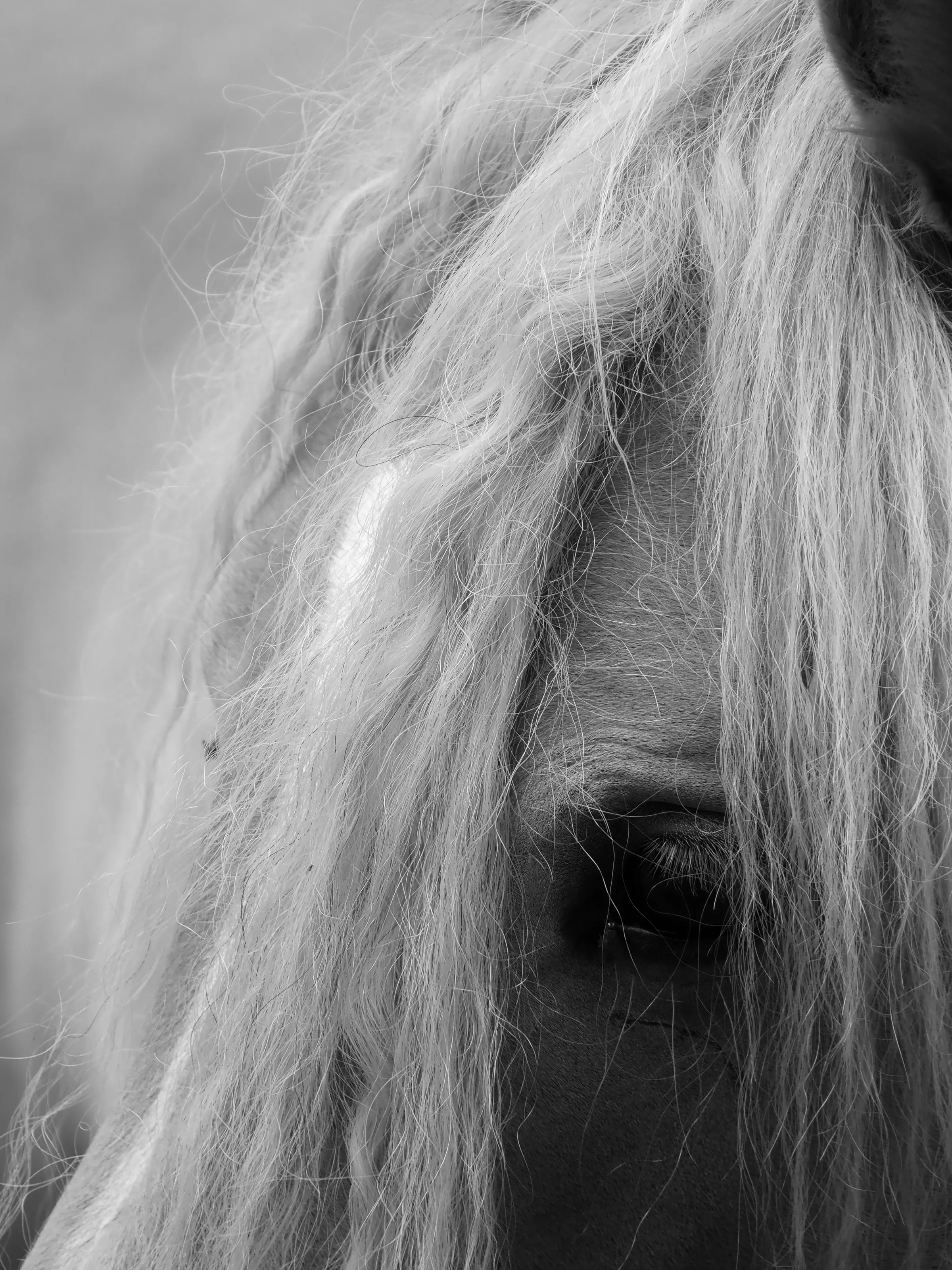 Der Blick der Stille