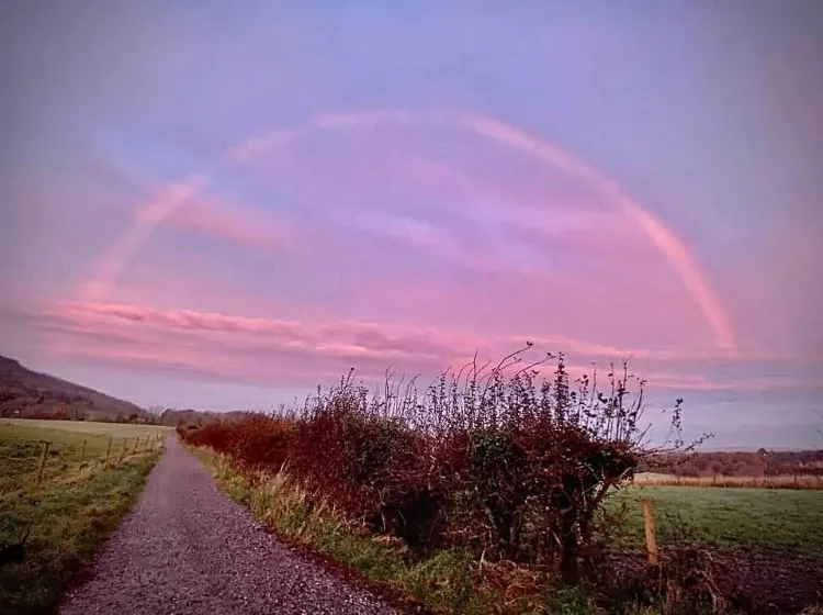 Rainbow walk