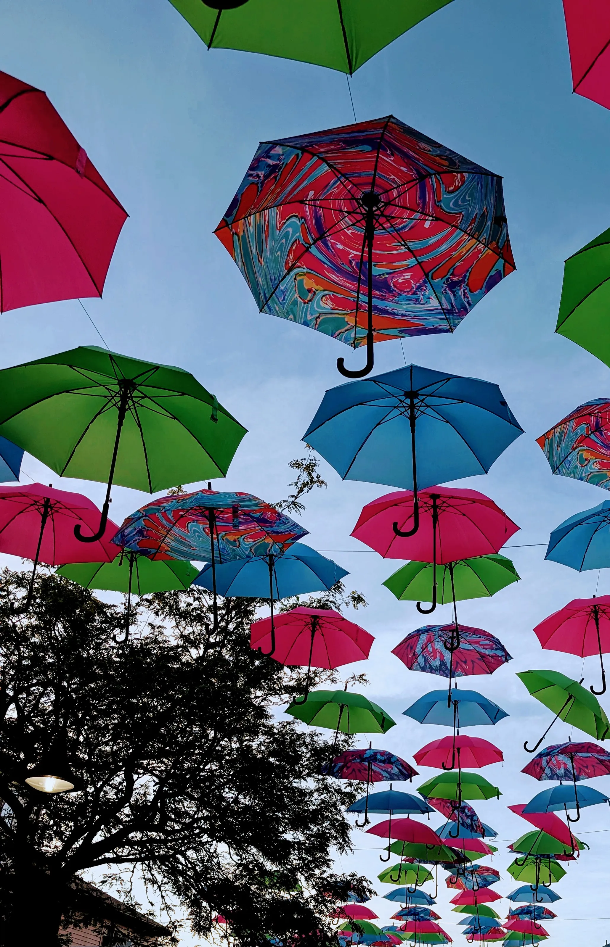 Umbrella sky