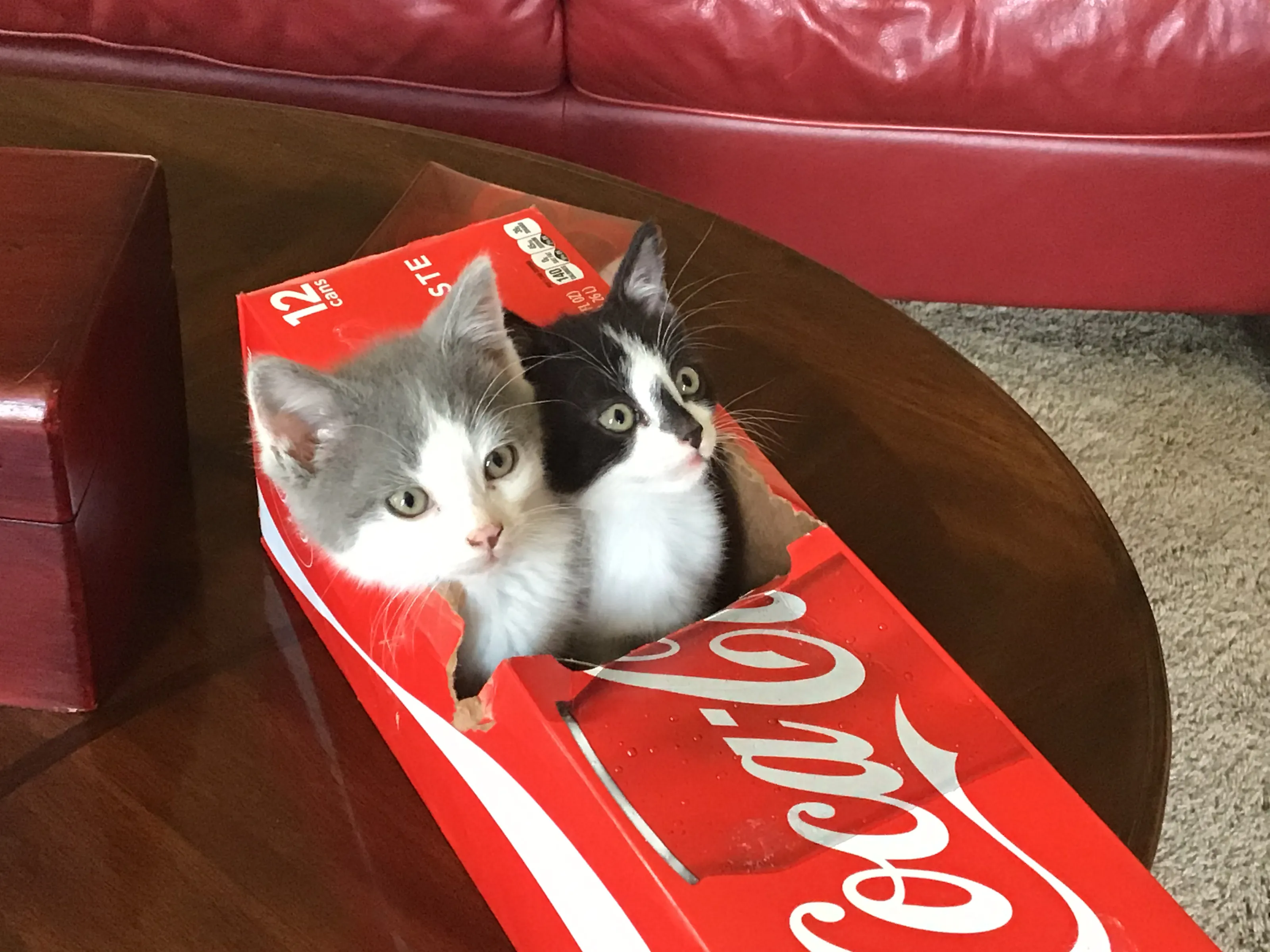 We Need More Coke