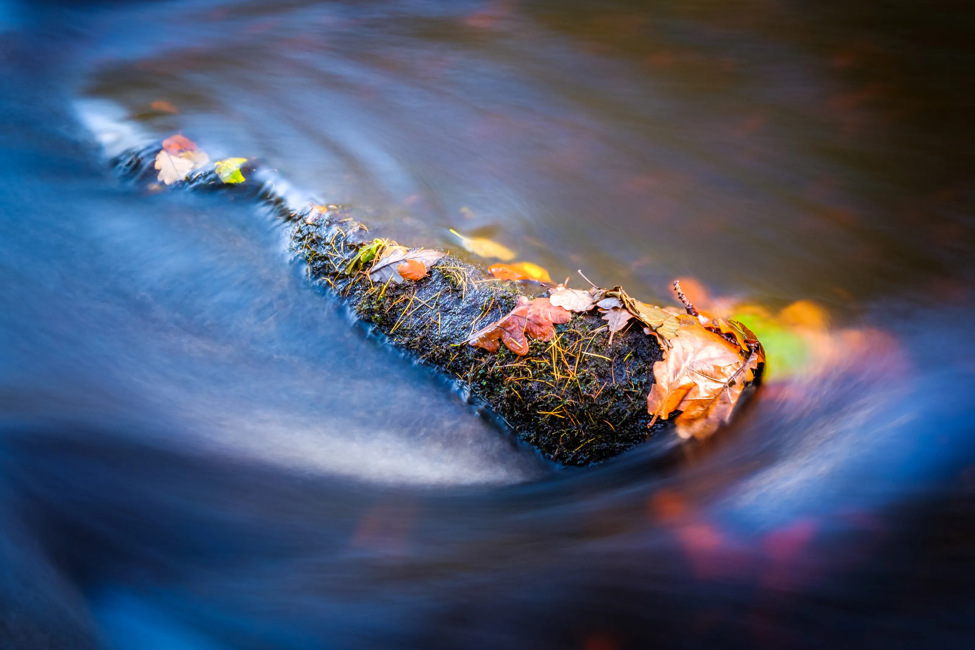 Autumn Swirl