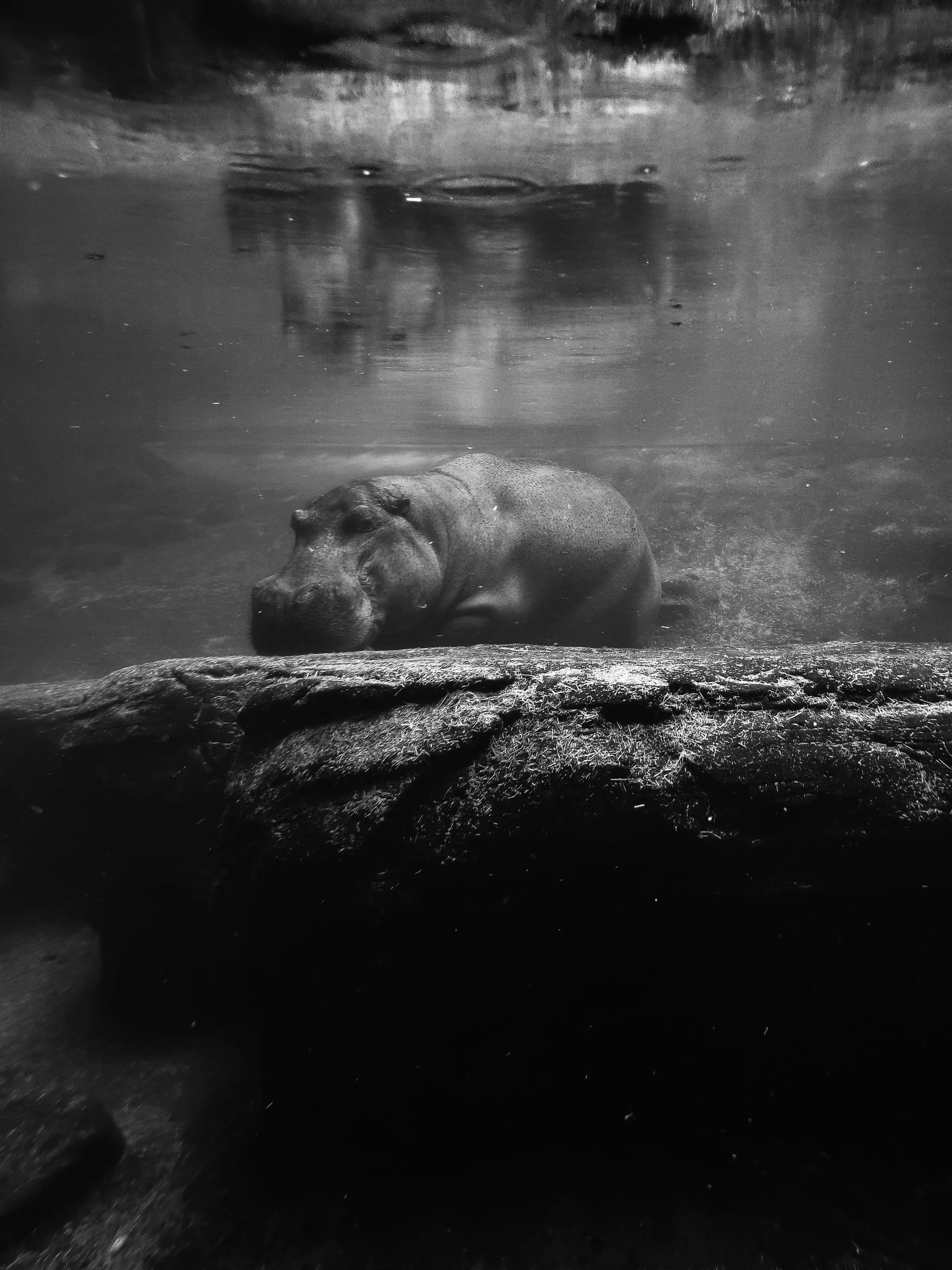 Sleepless Waters