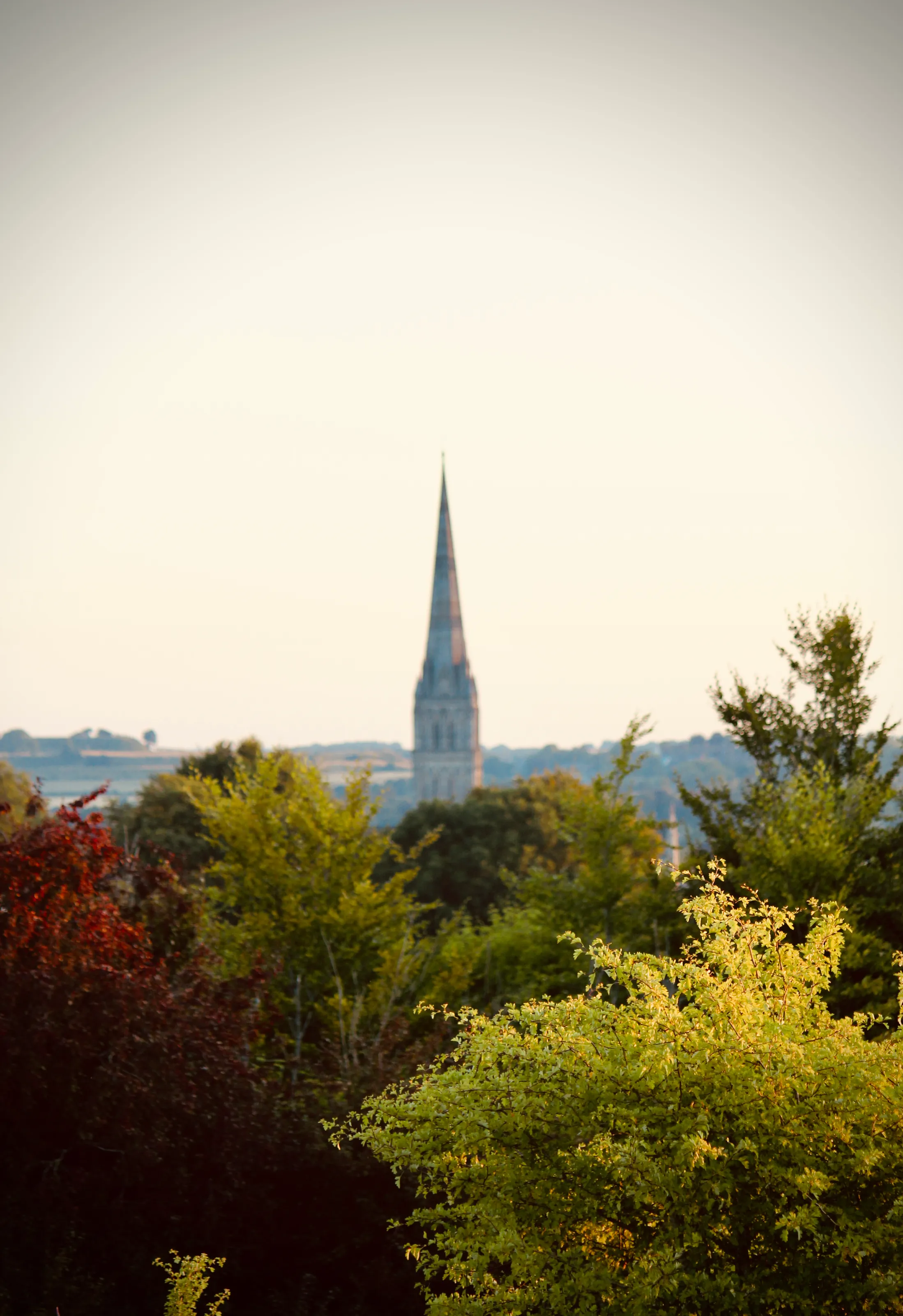 SunriseOnSalisbury