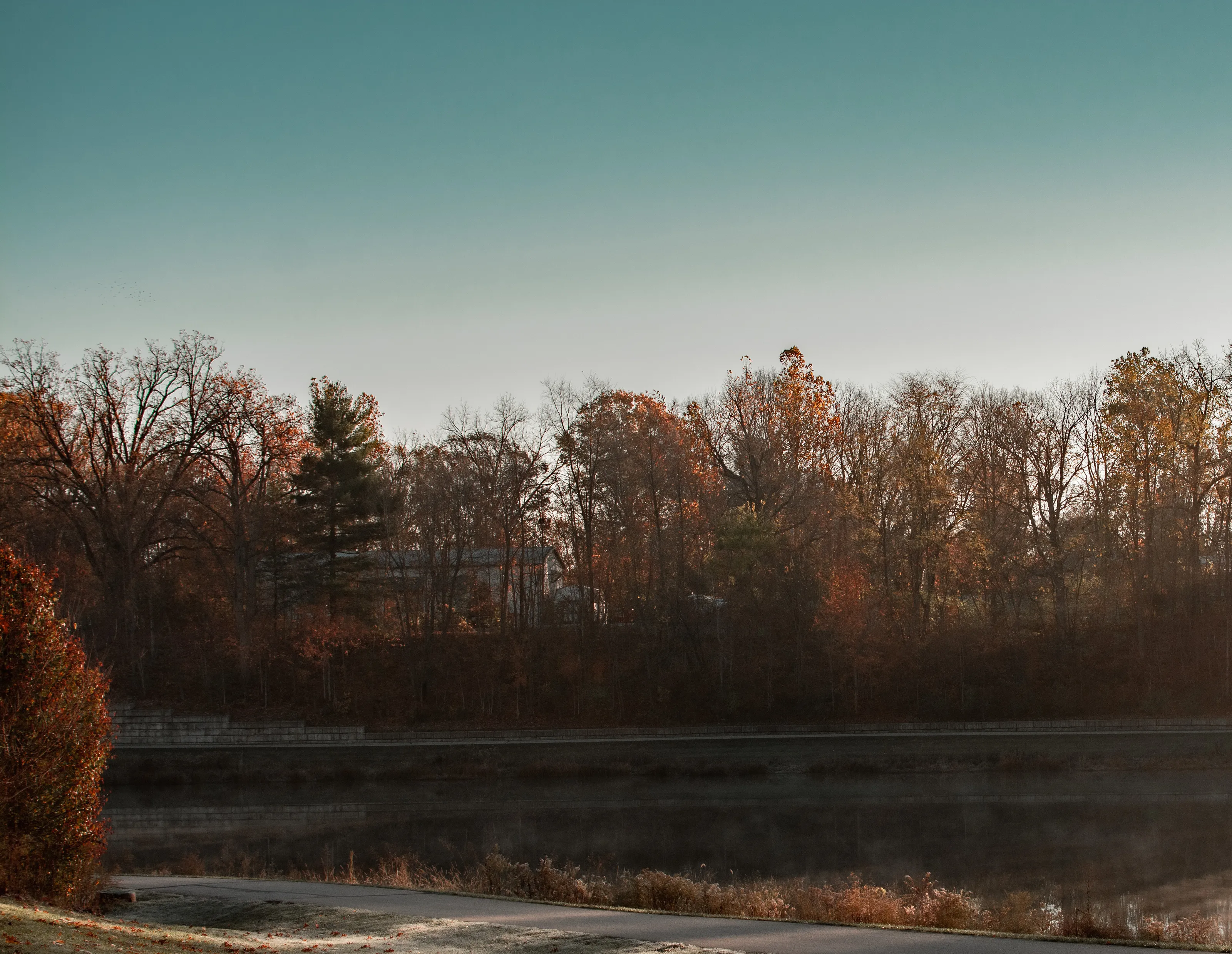 Fall Mornings