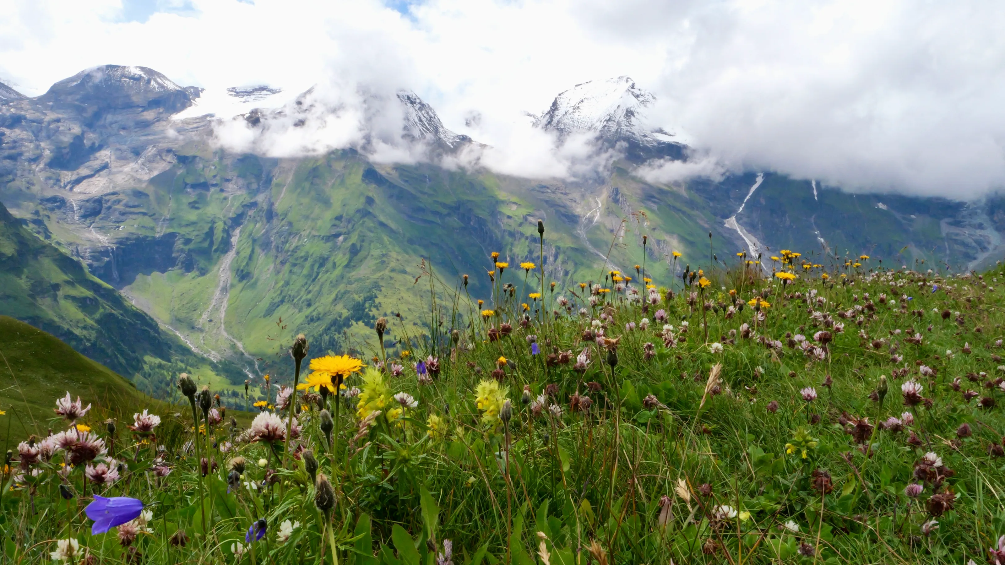 Austrian Alps