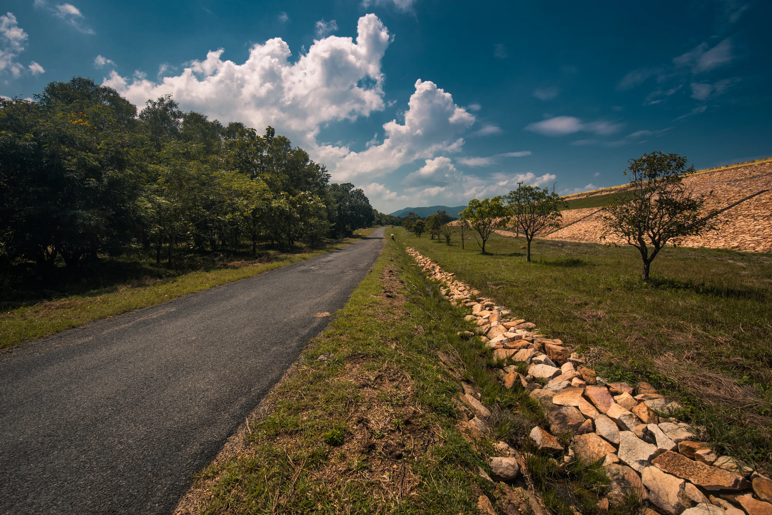 "Scenic Roadside View"