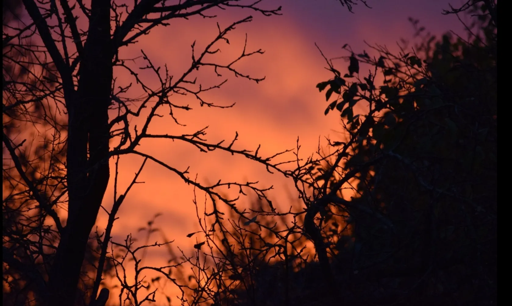 Sunset in nature