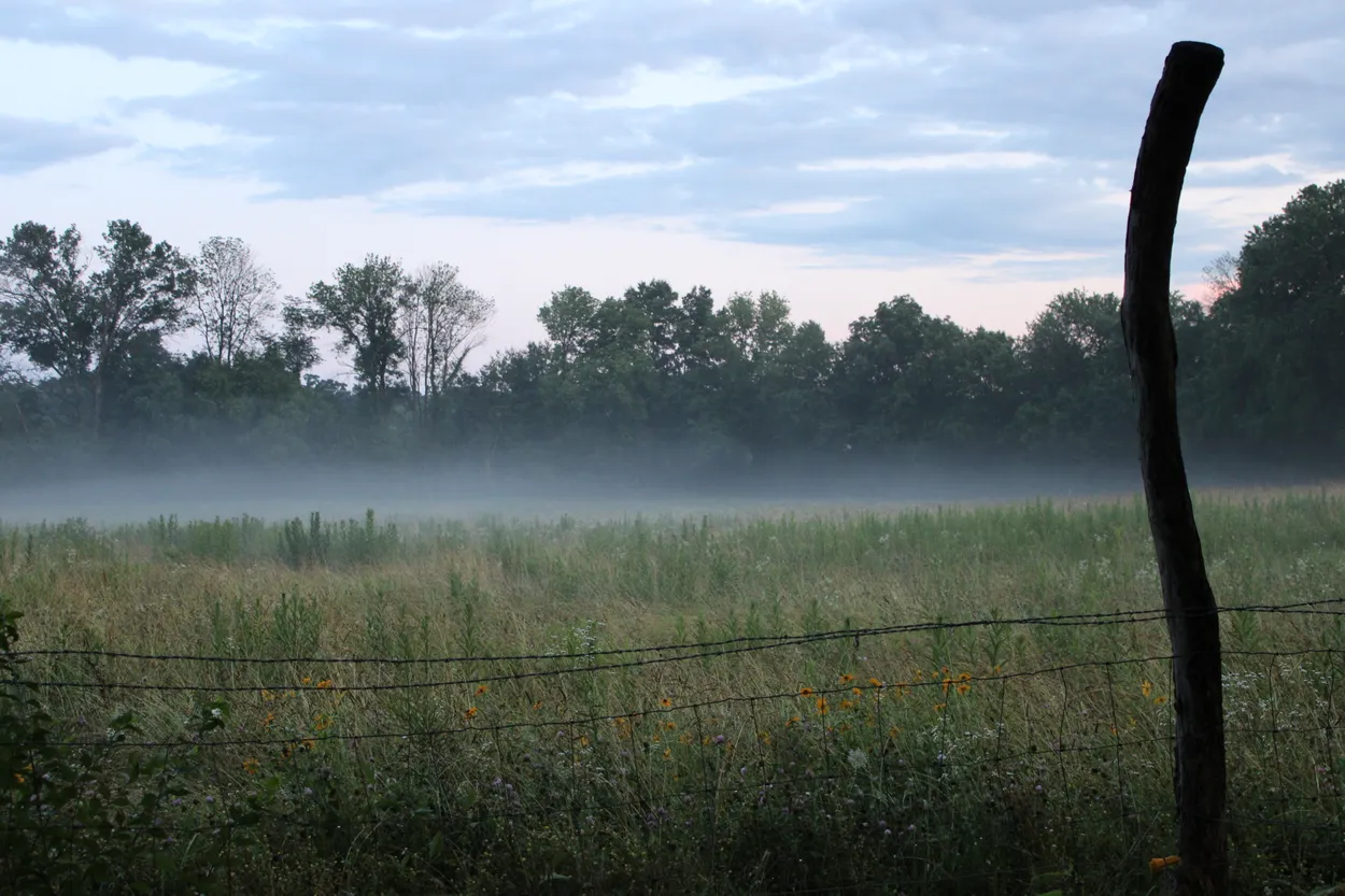Entry 25032534