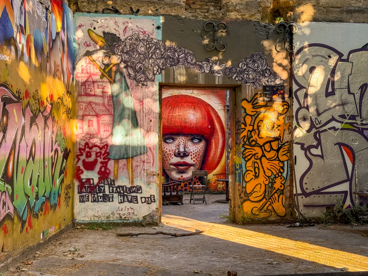 Street art in Darwin Bordeaux (Hybrid space engaged for environmental protection)