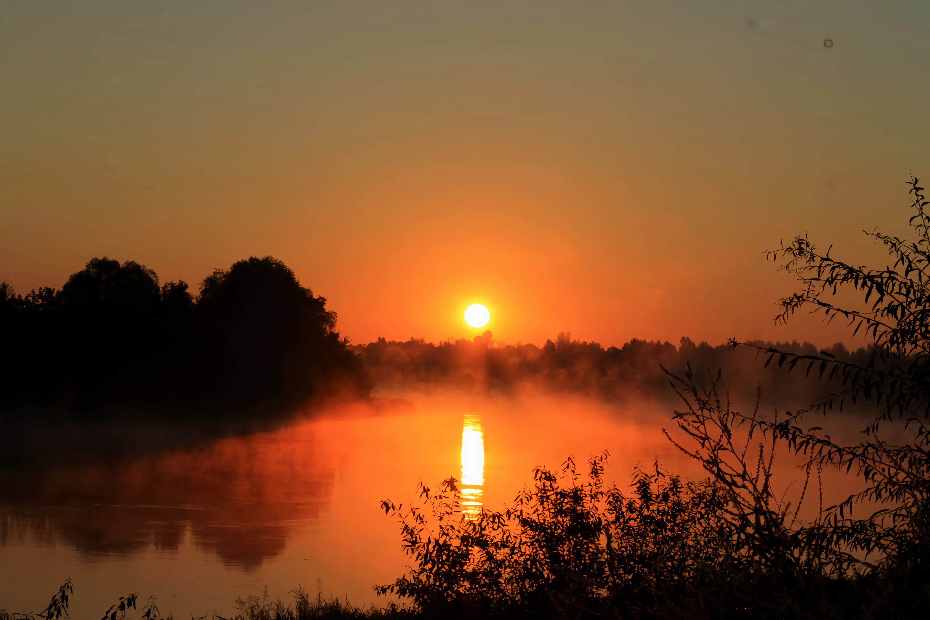 Sunrise