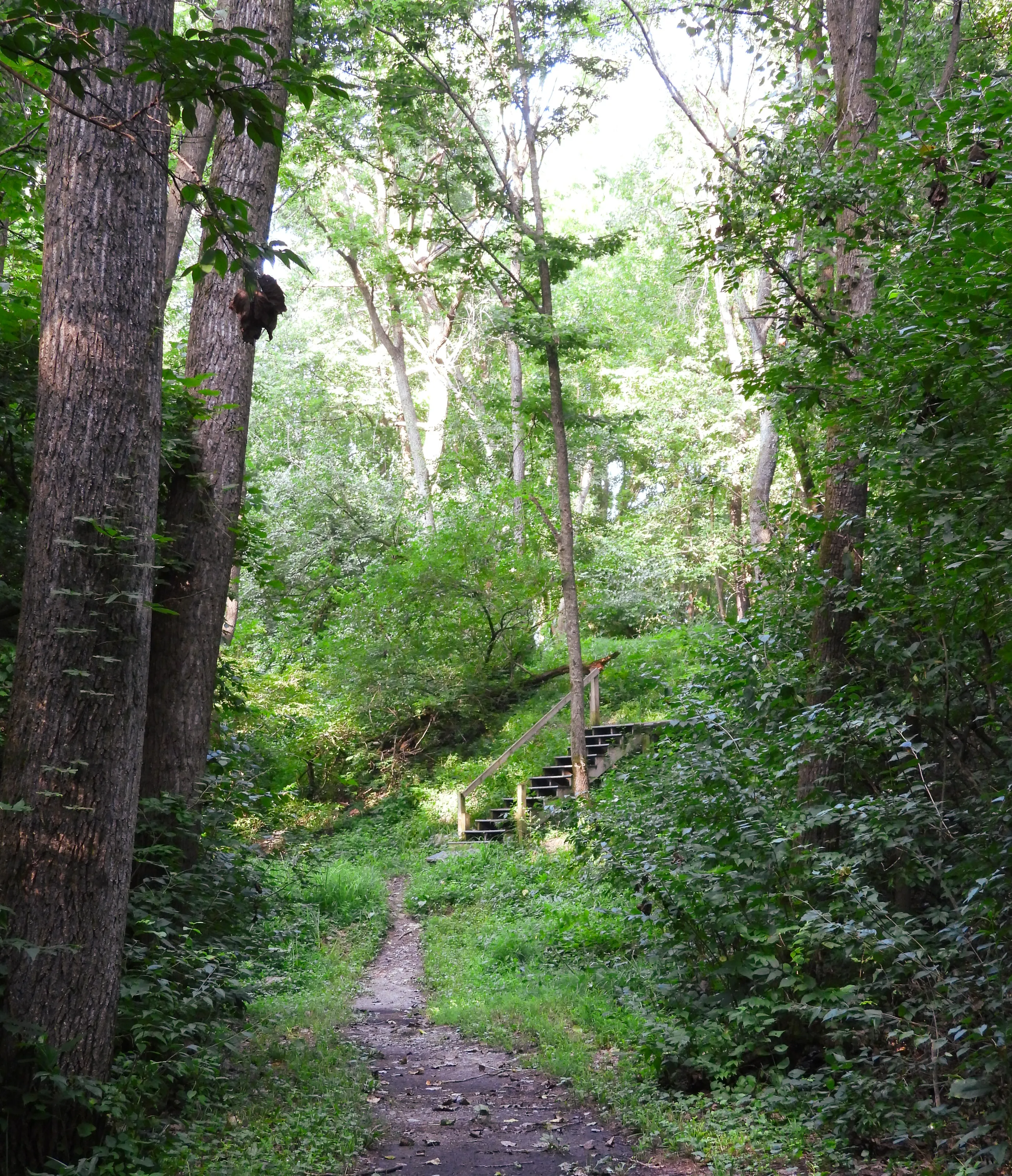 Secret Garden