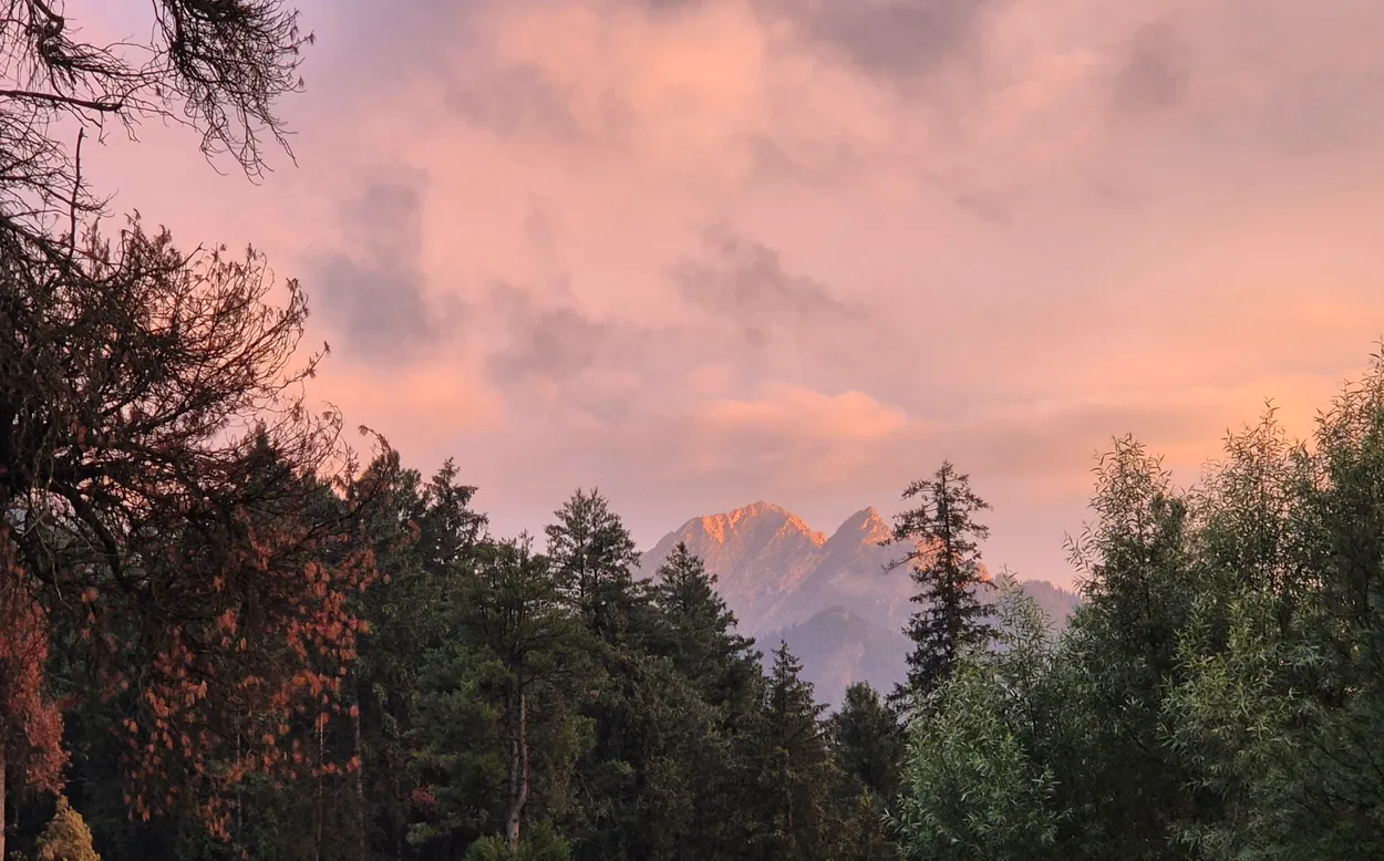 Entry 25050062