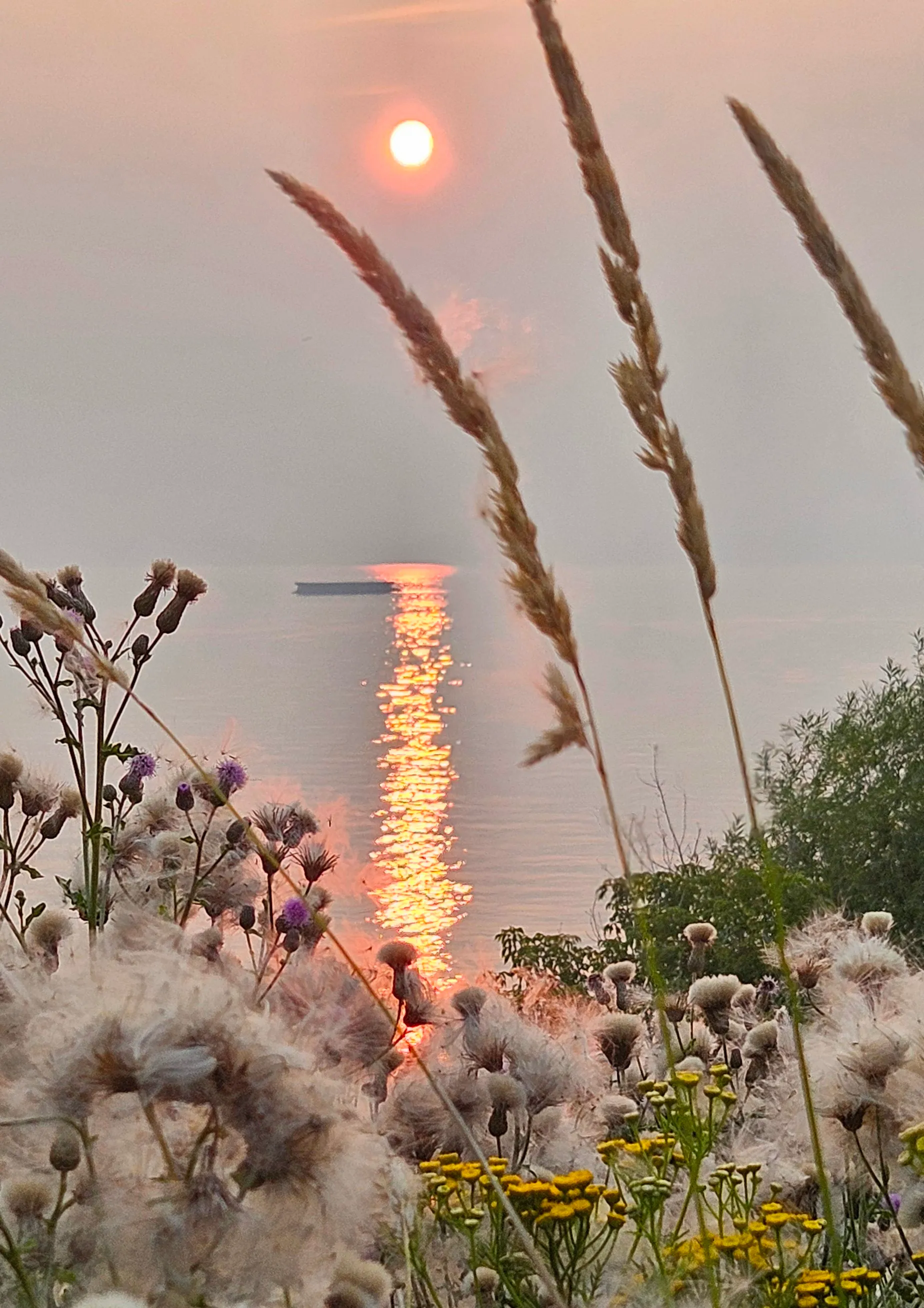 Smoky Sunset