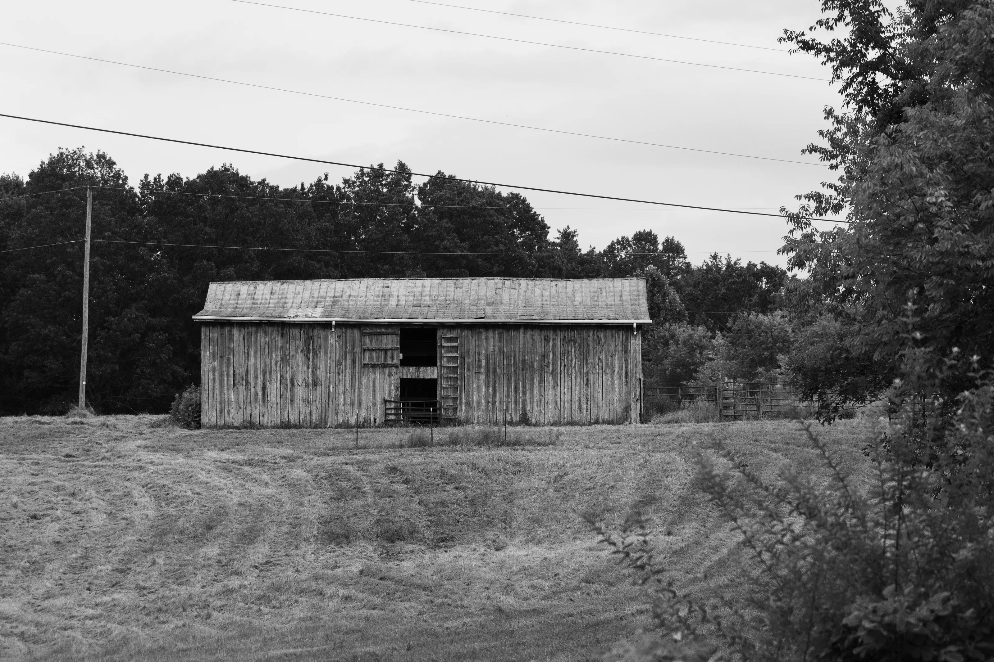 Old barn in the country, black and white
