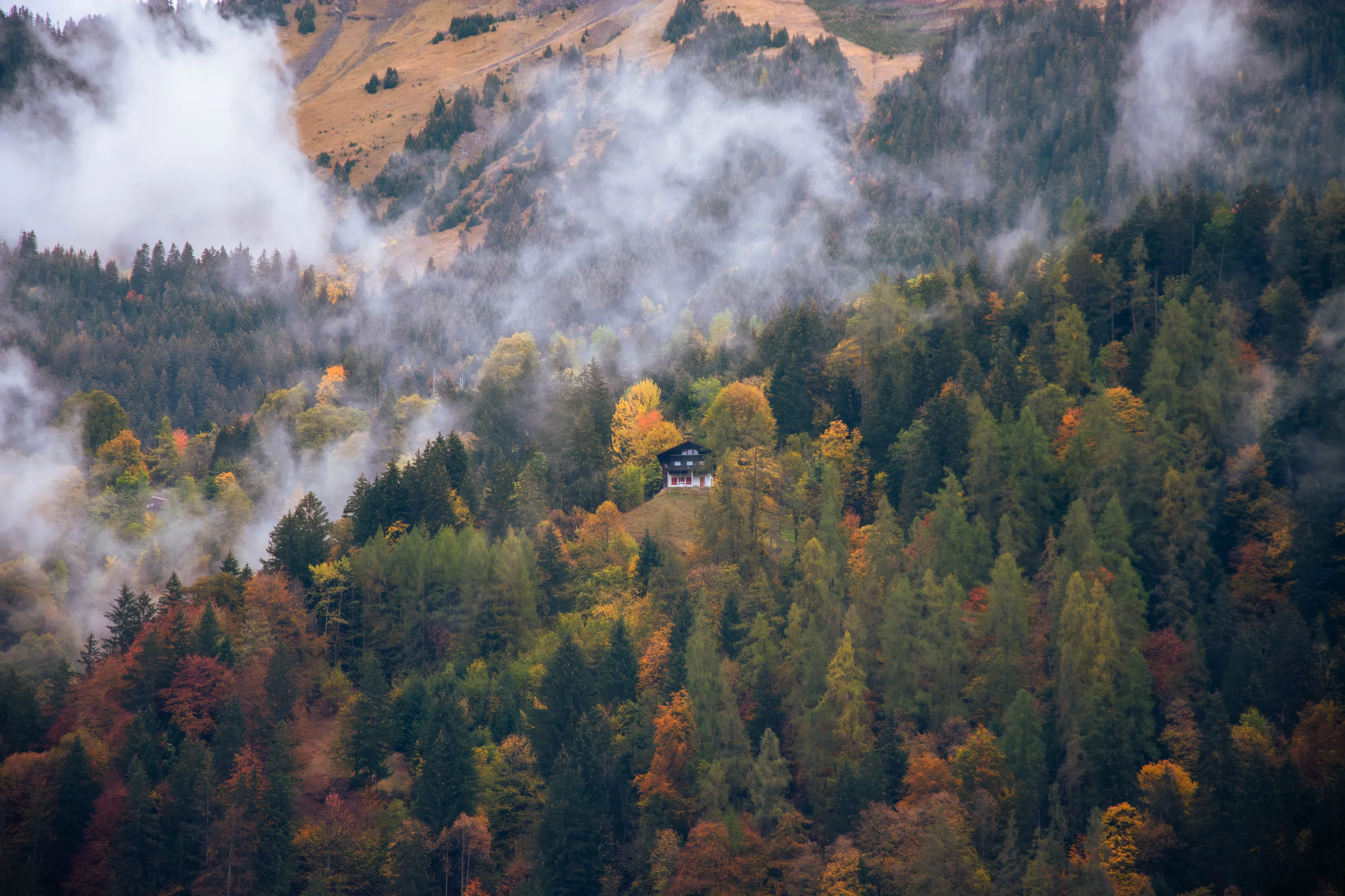 Life in the Alps