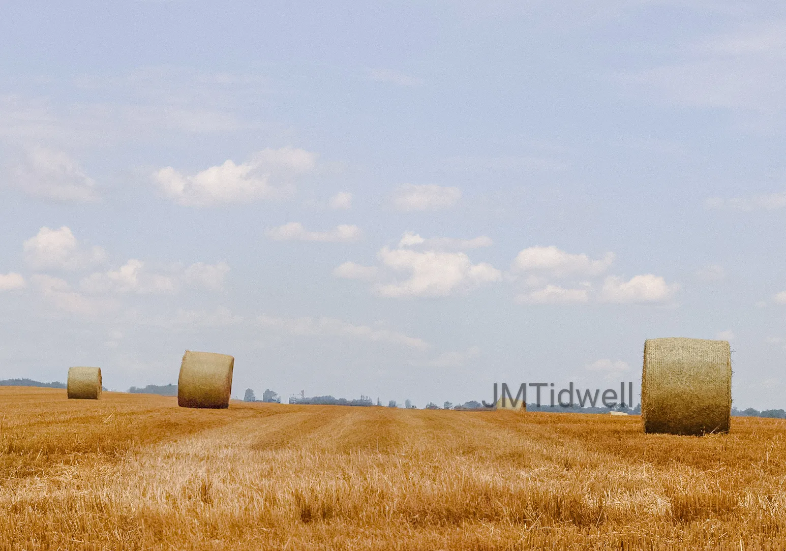Banner image