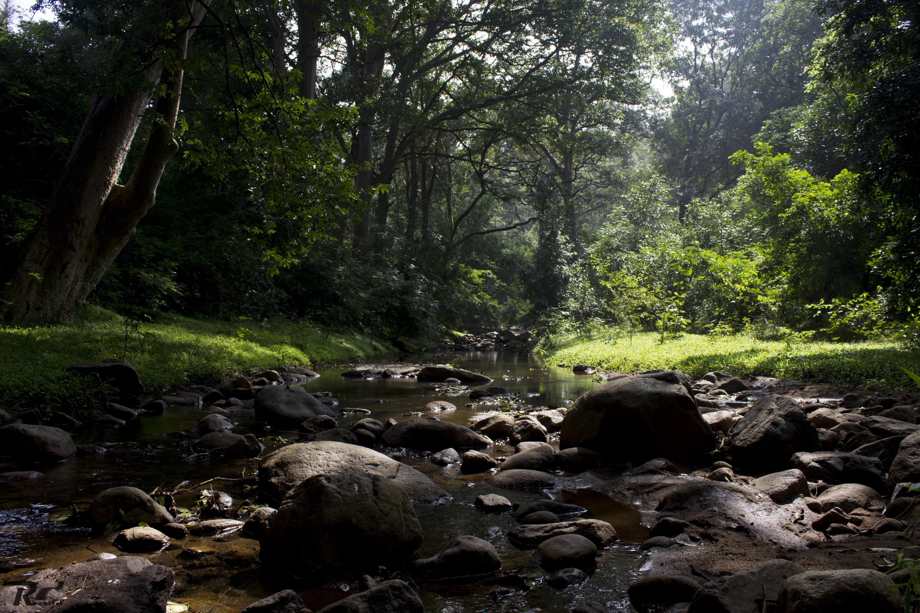 Eastern Ghats