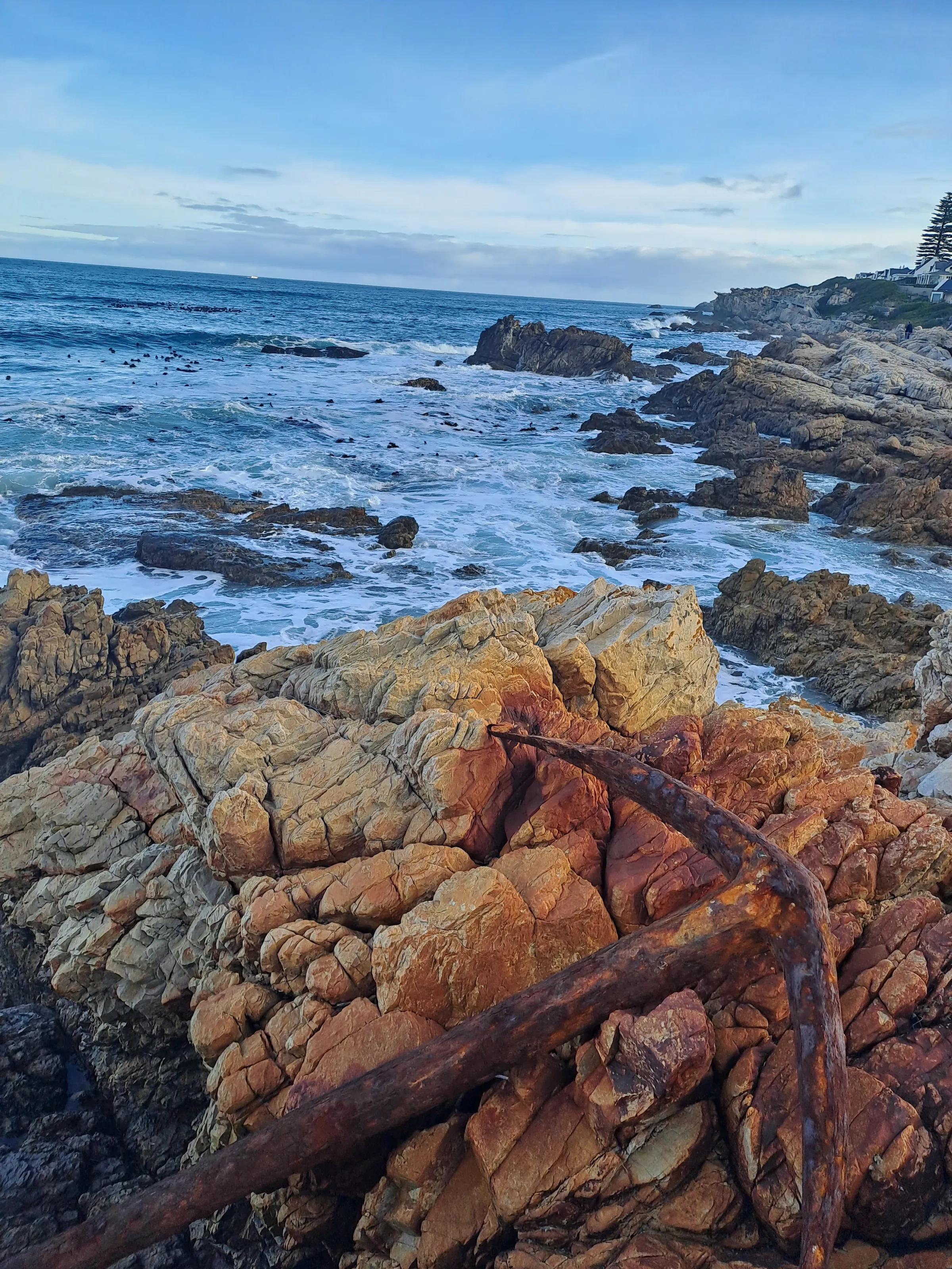 Hermanus history alive