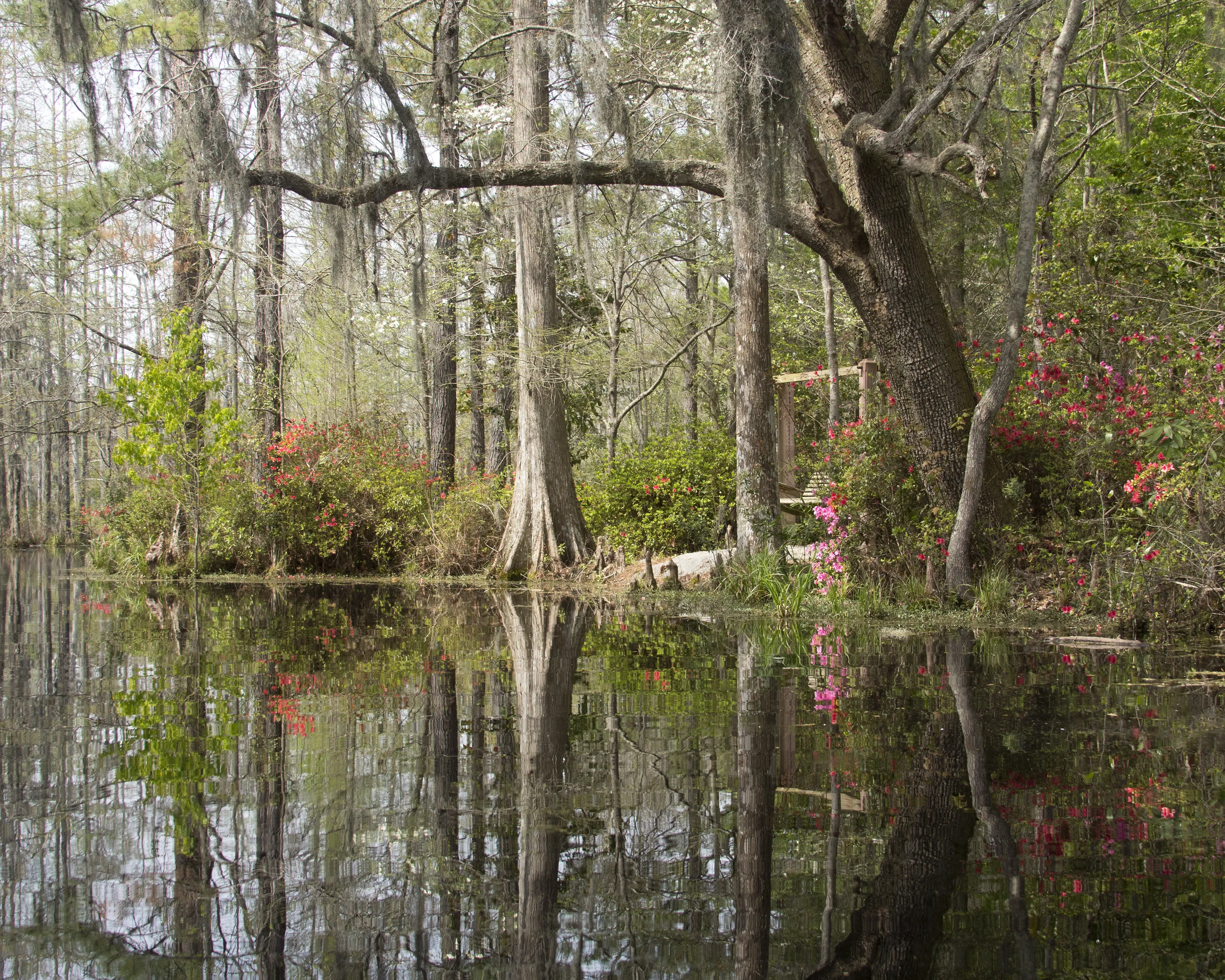 Secret Reflection