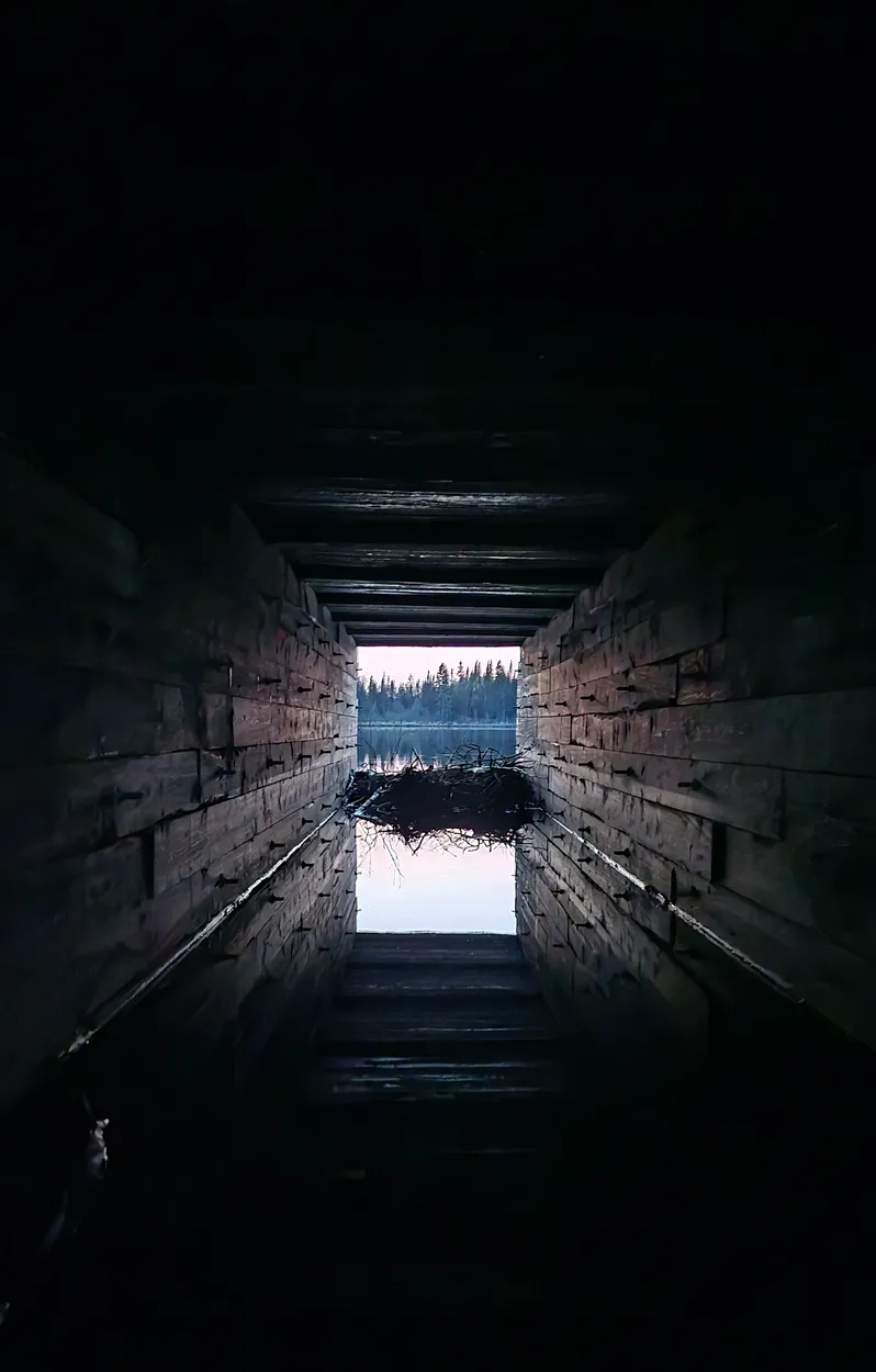 Entry 25109025