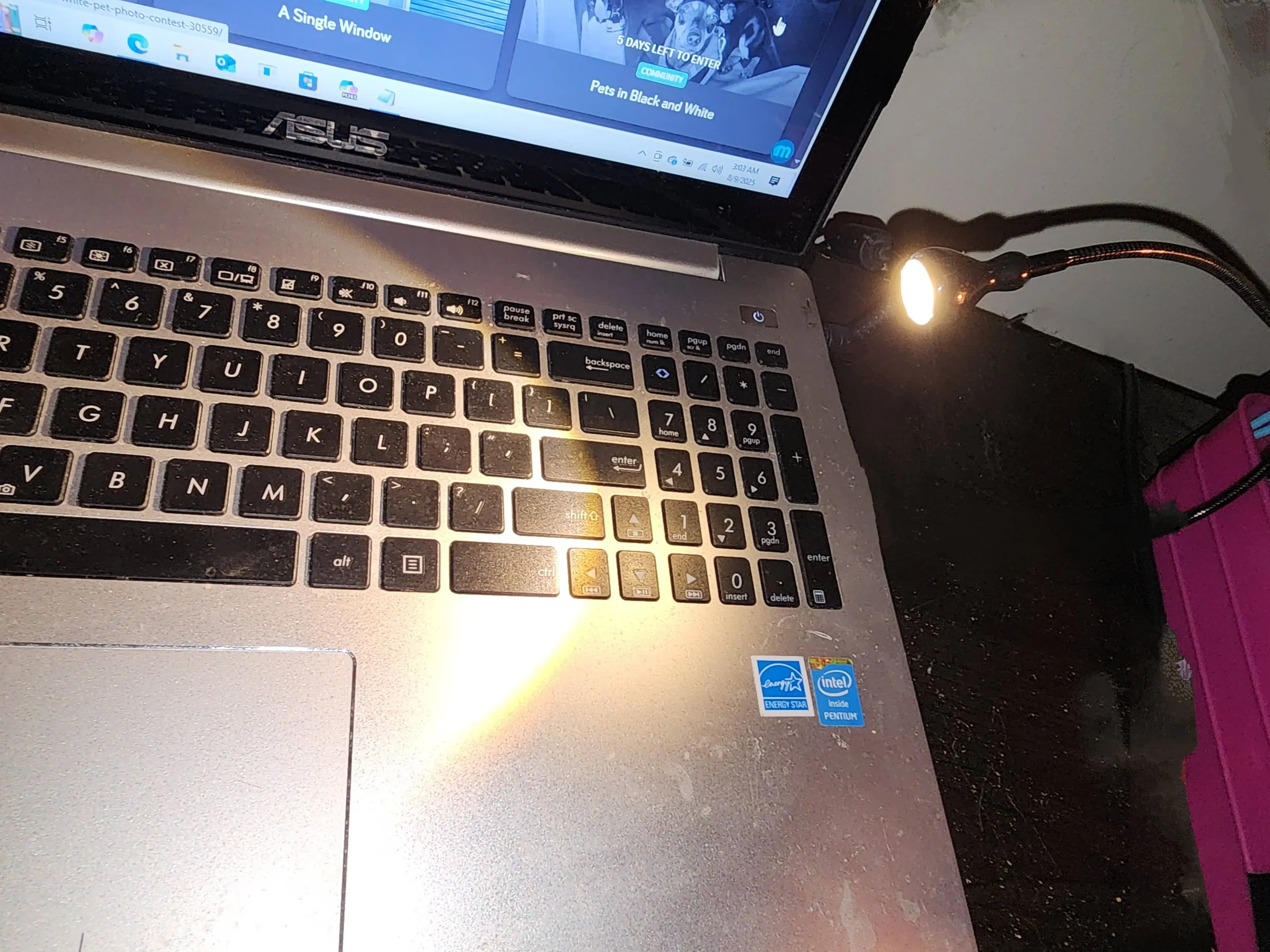 Illuminated by a Small Lamp