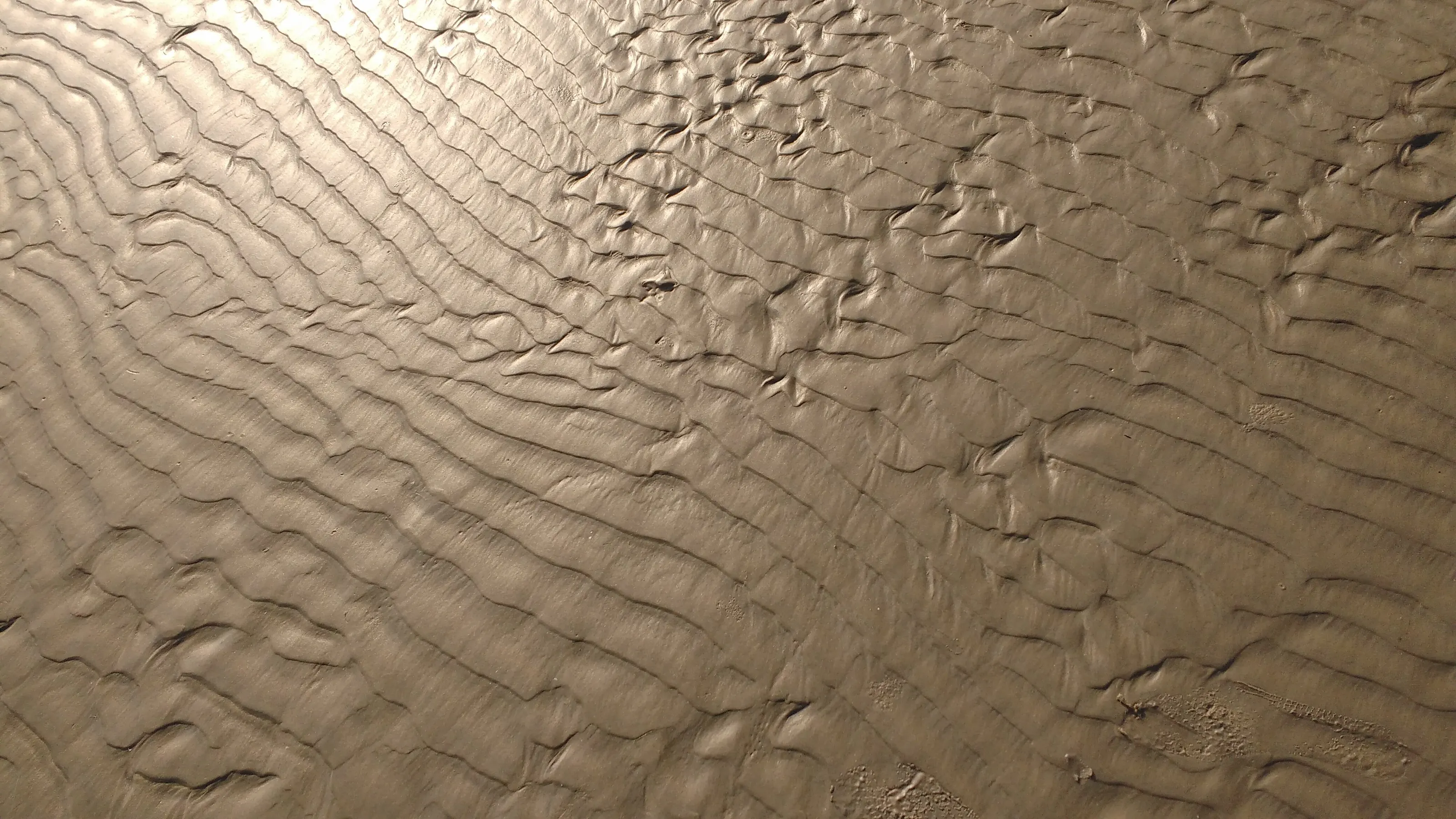 Soil And Water