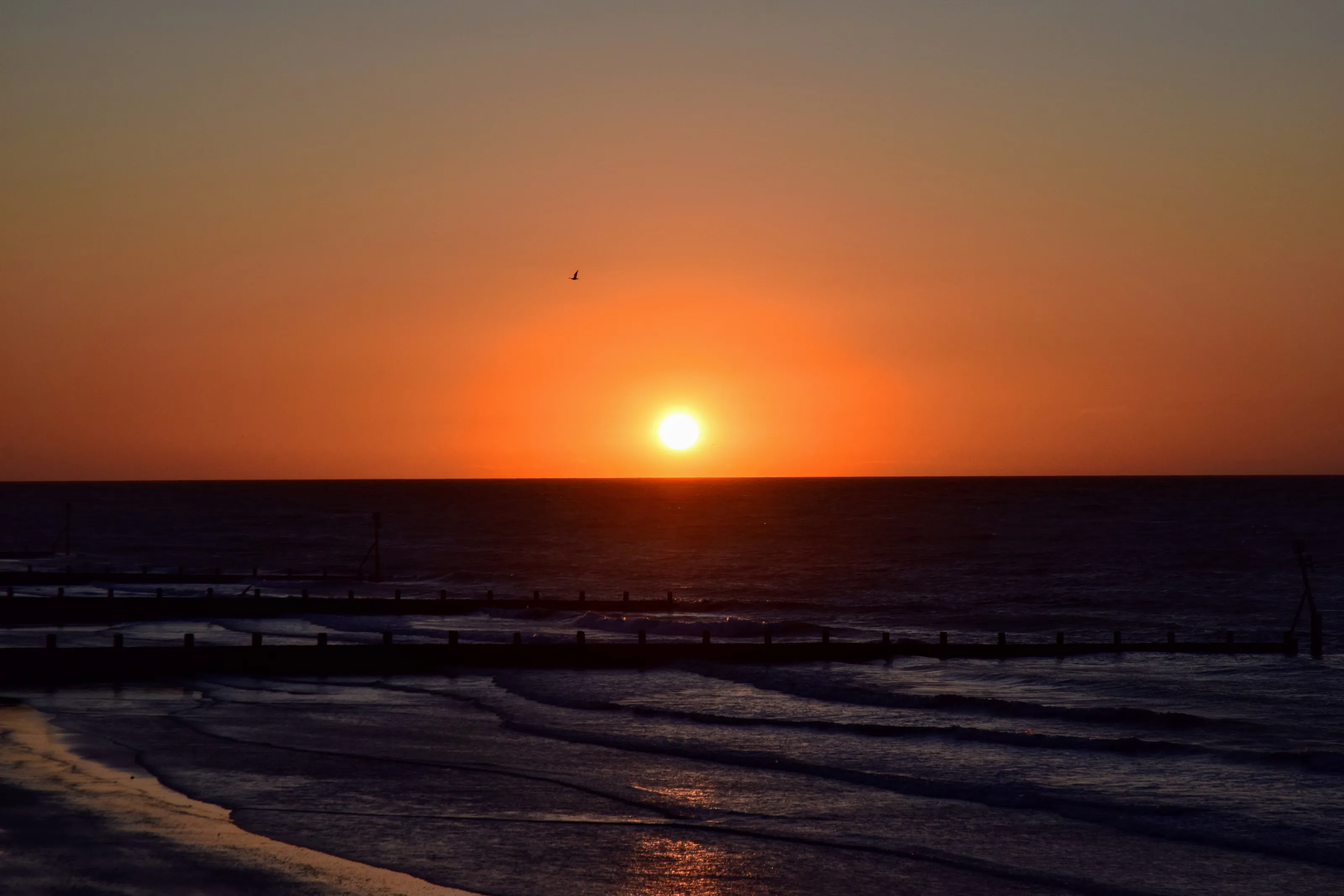 Chasing Sunsets