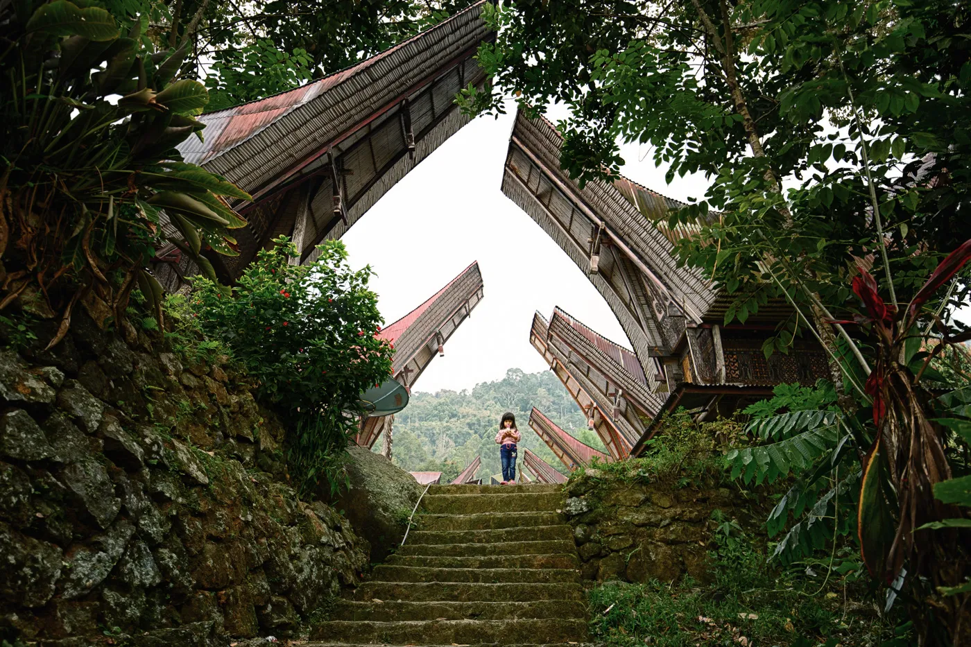 Toraja Culture -2