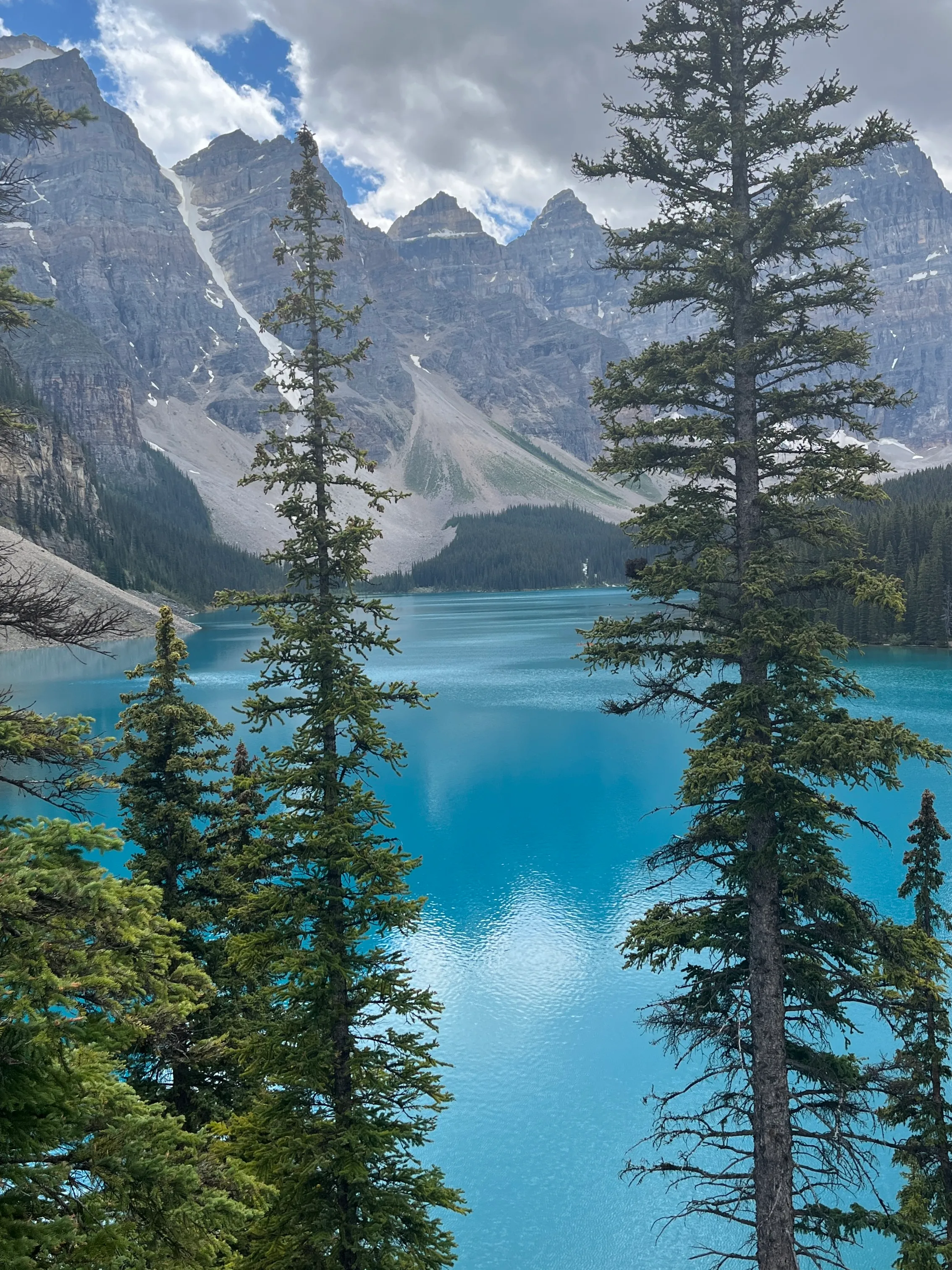 Winter in Summer