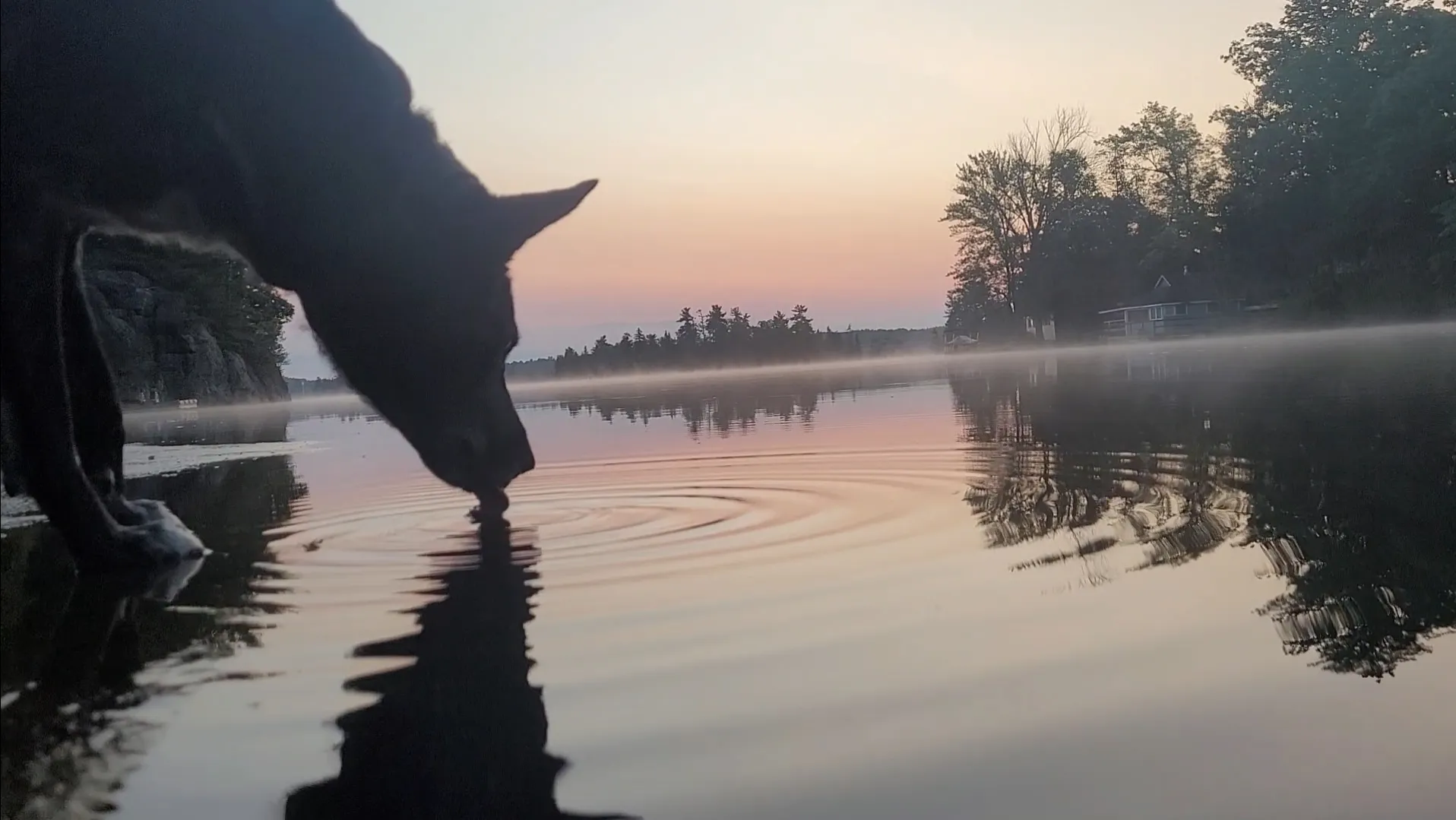 Lick the lake