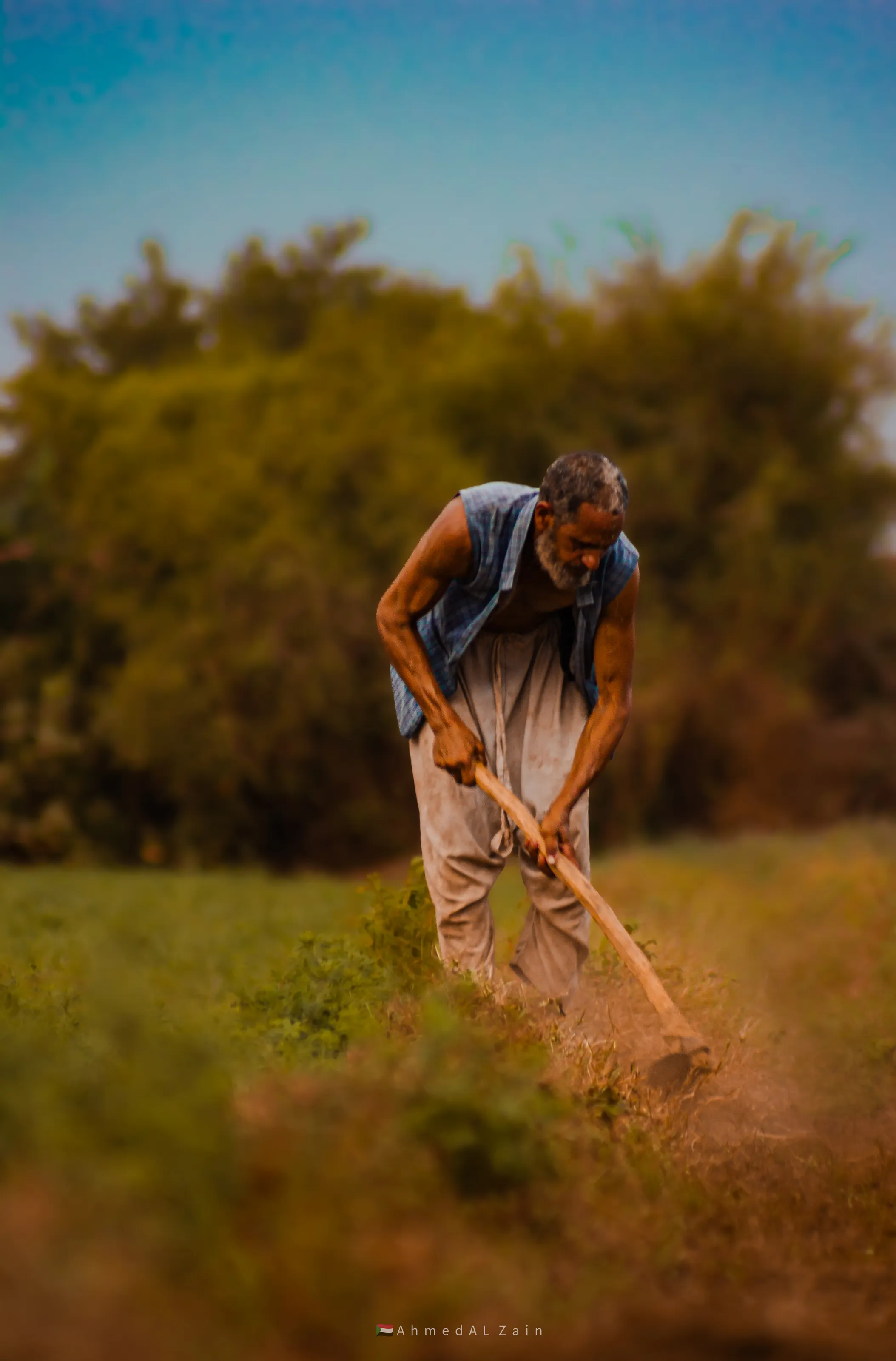 Sudanese farmer