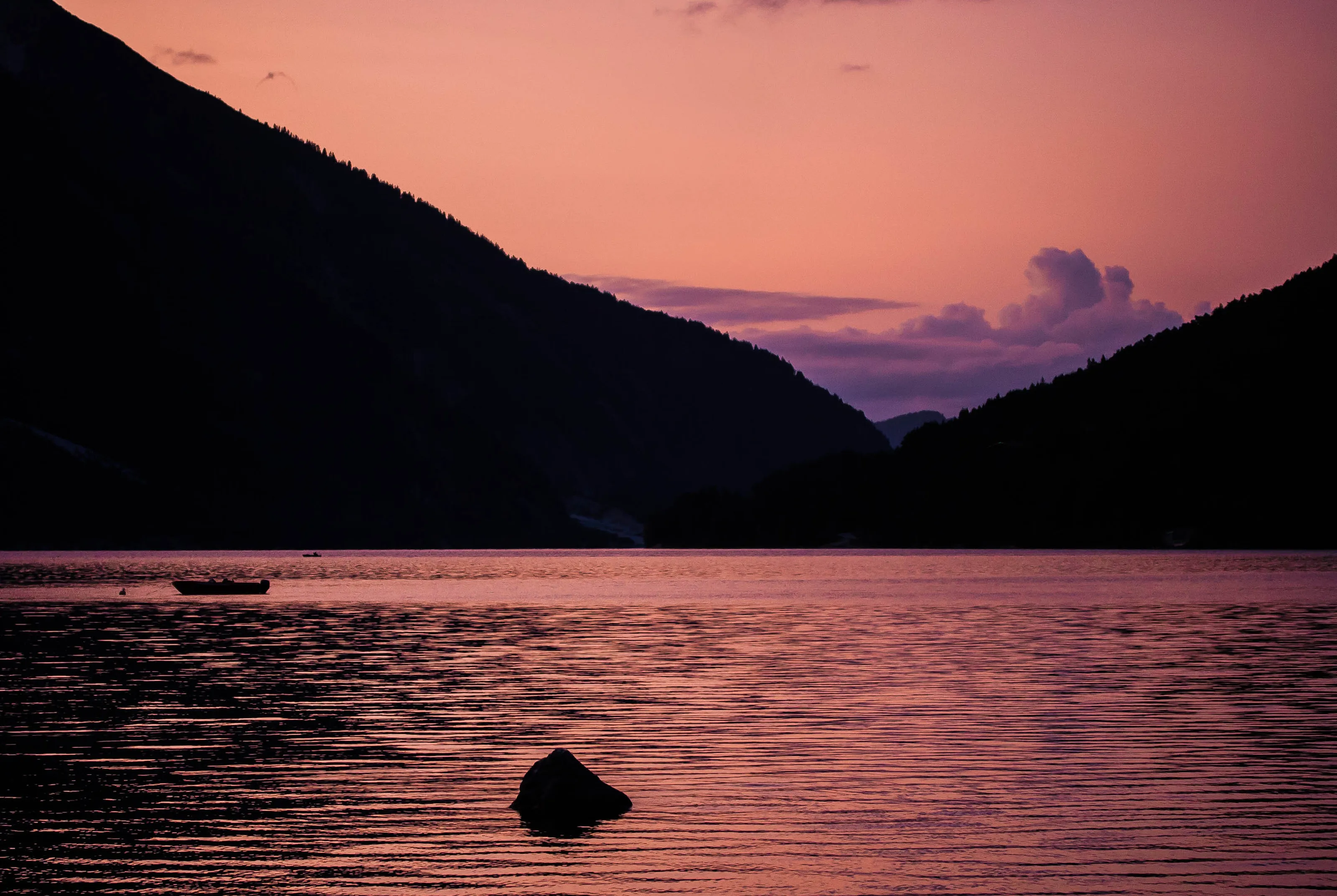 Pink reflections