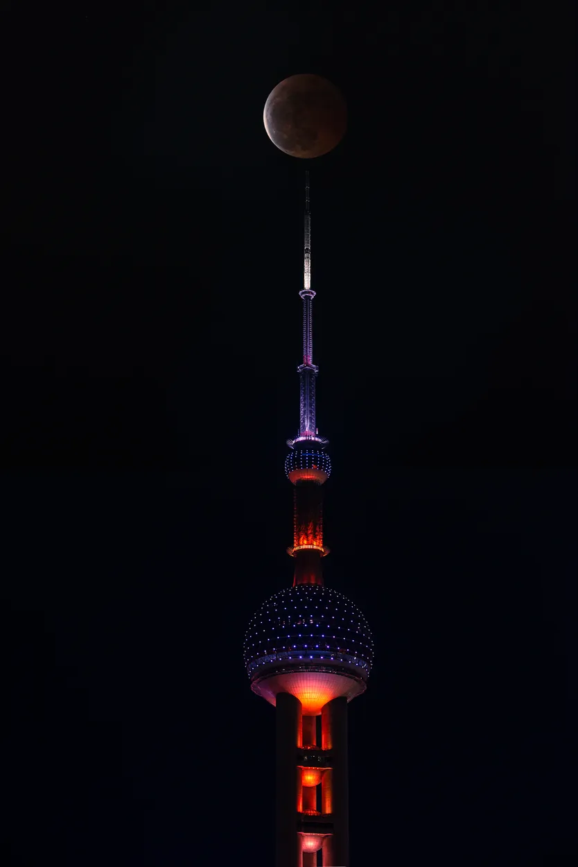 Entry 25131307