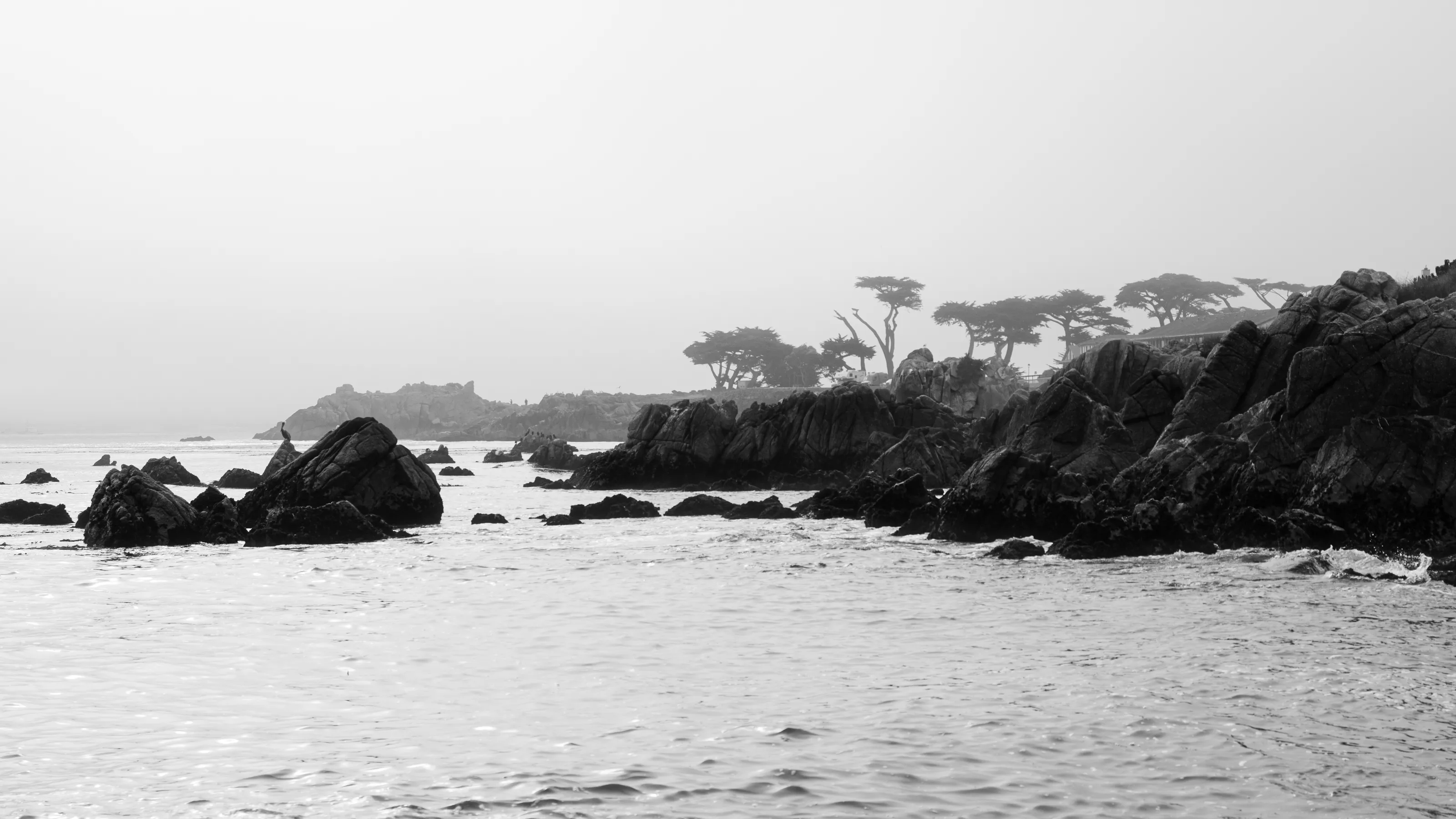 17 Mile Drive