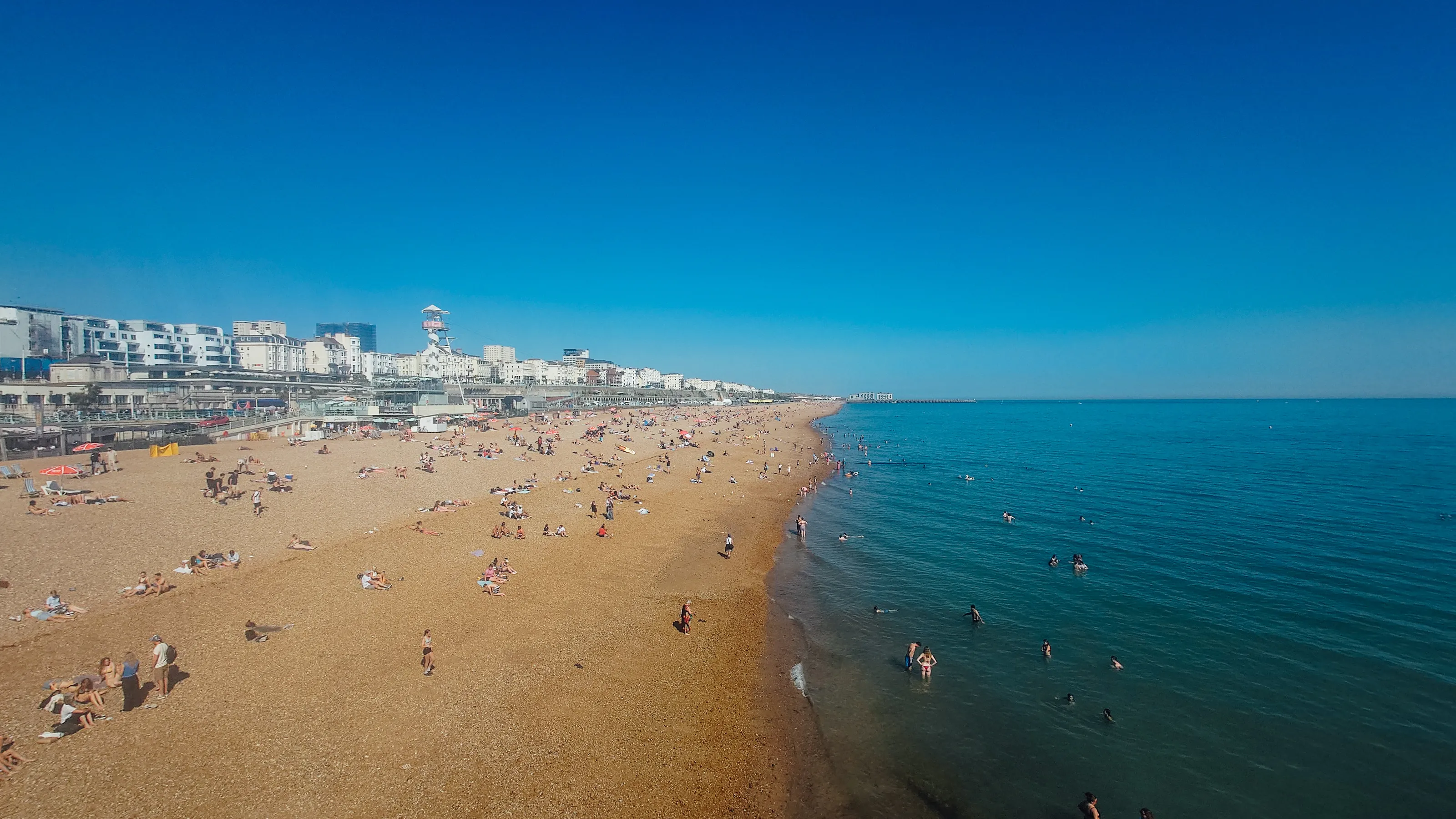 Banner image