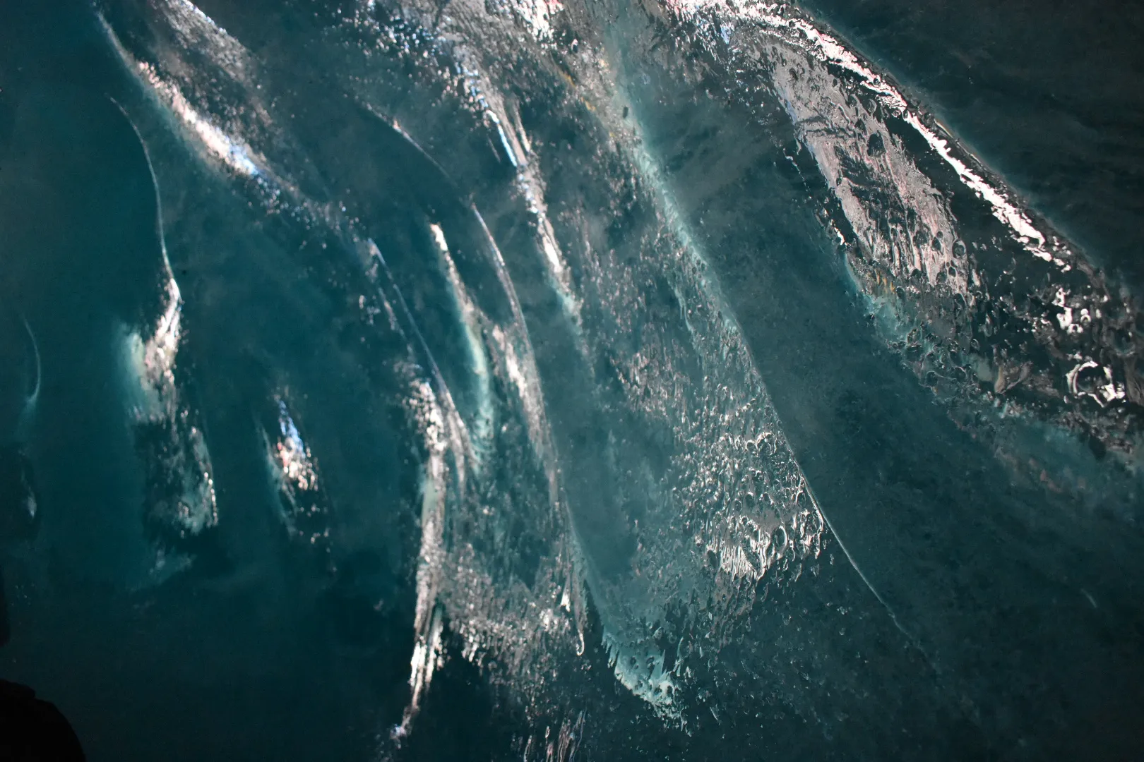 Banner image