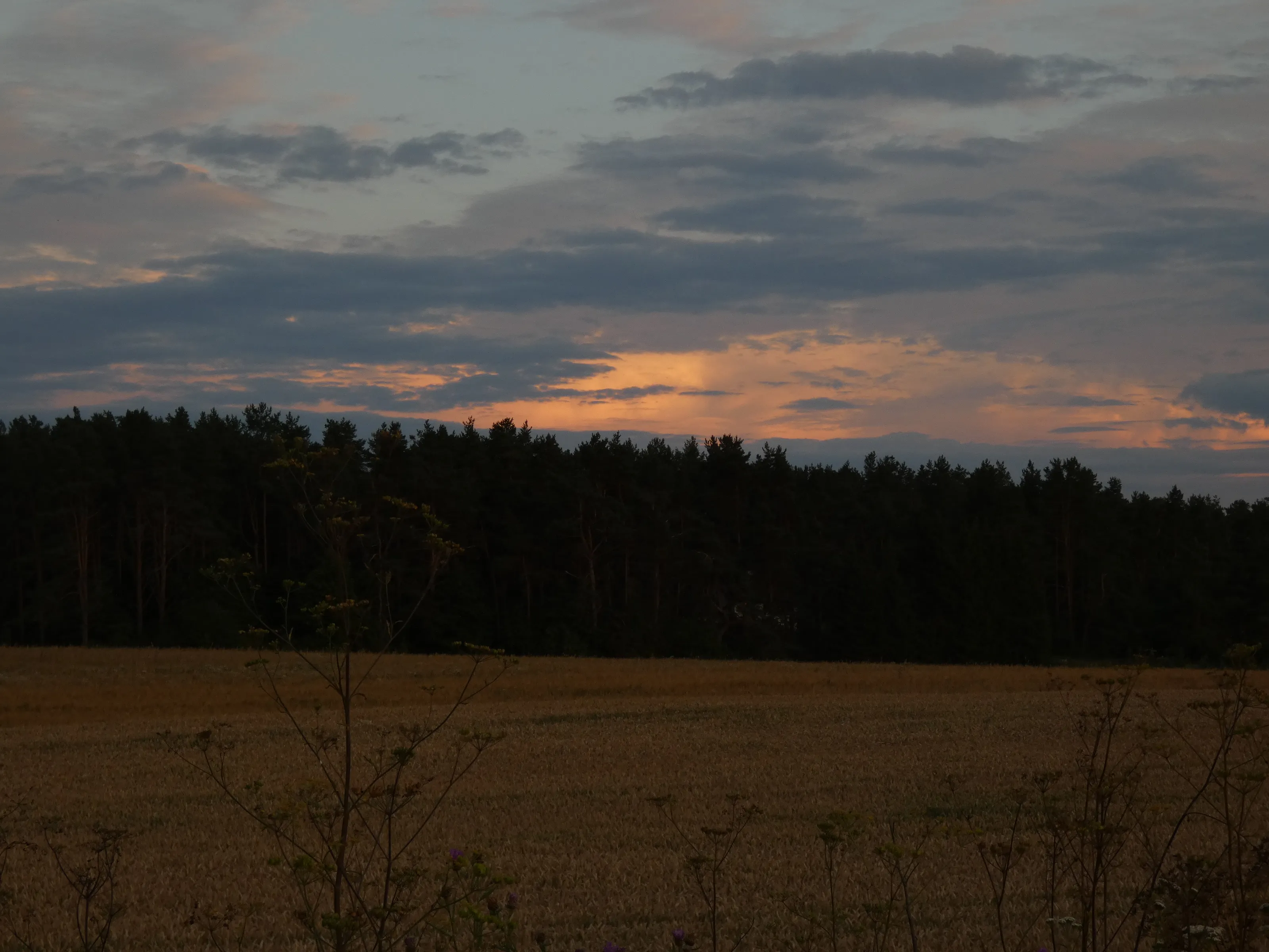 Whispers of Twilight Over Golden Fields