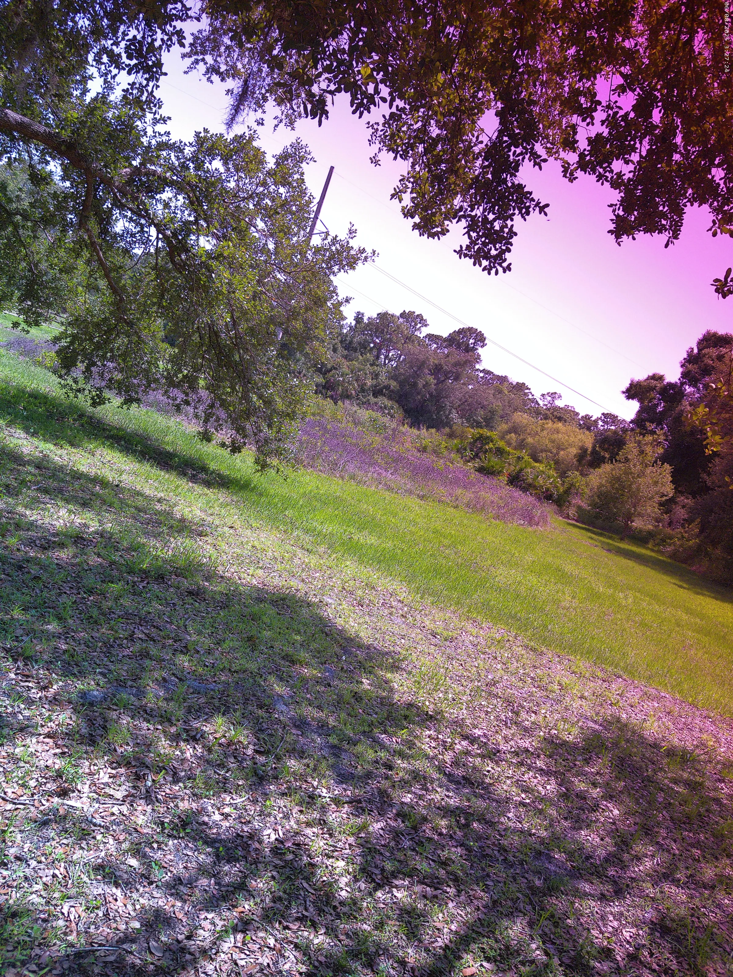 Another beautiful day