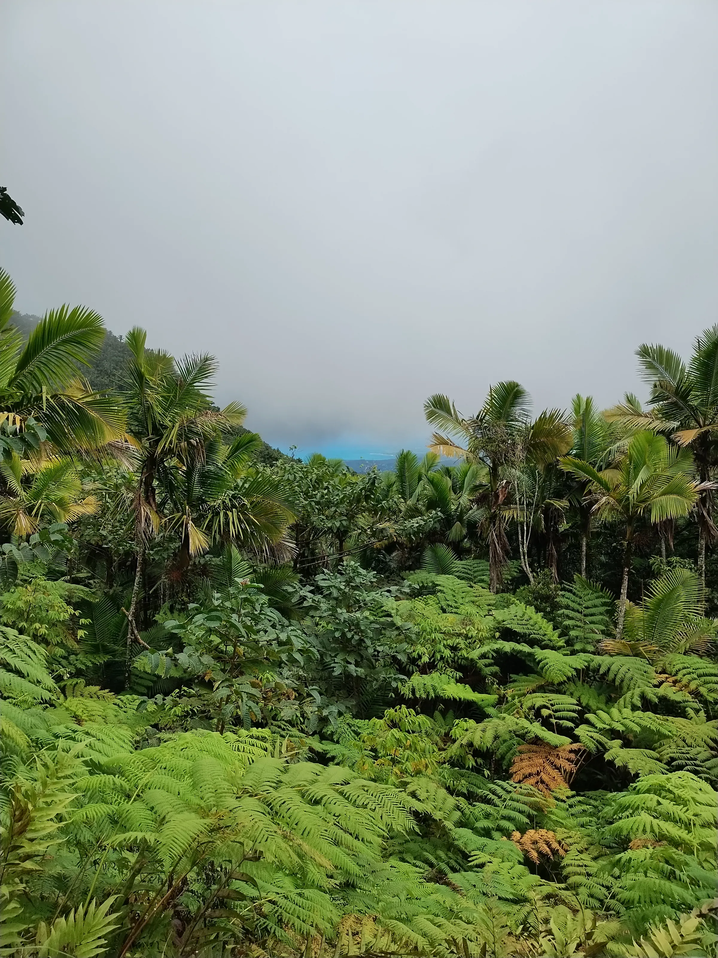 Puerto Rico