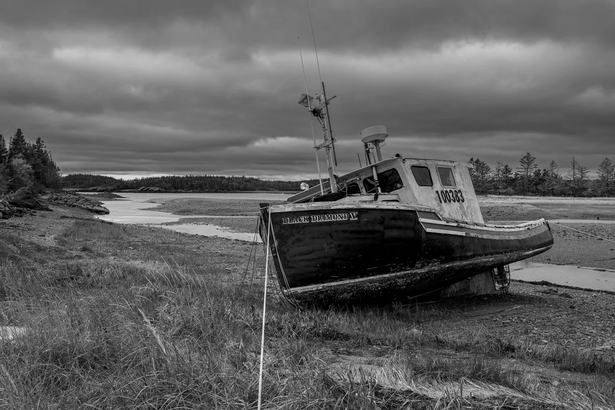 Stranded Boats in Black and White - transport photo contest ...