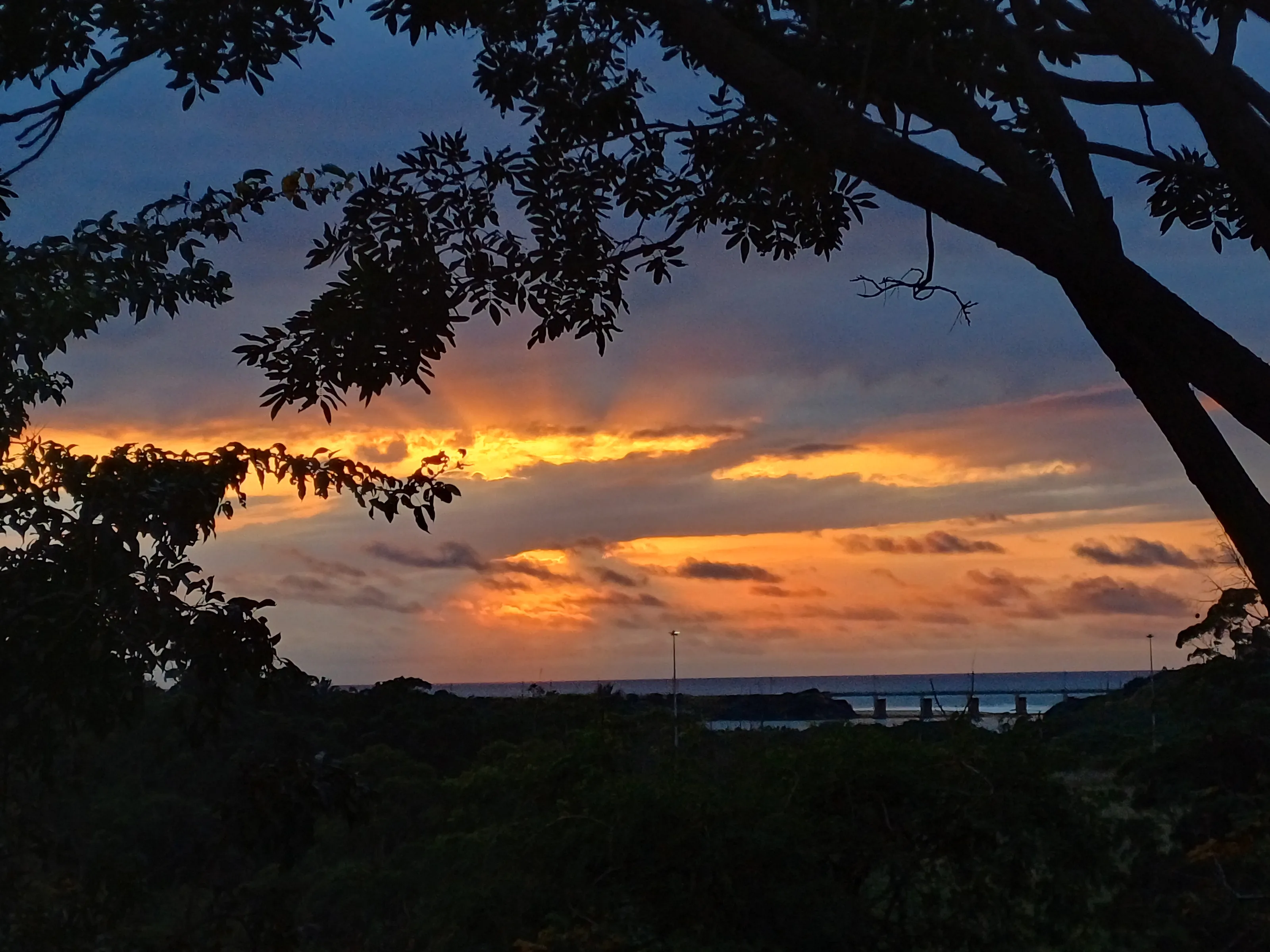 Morning Sunrise