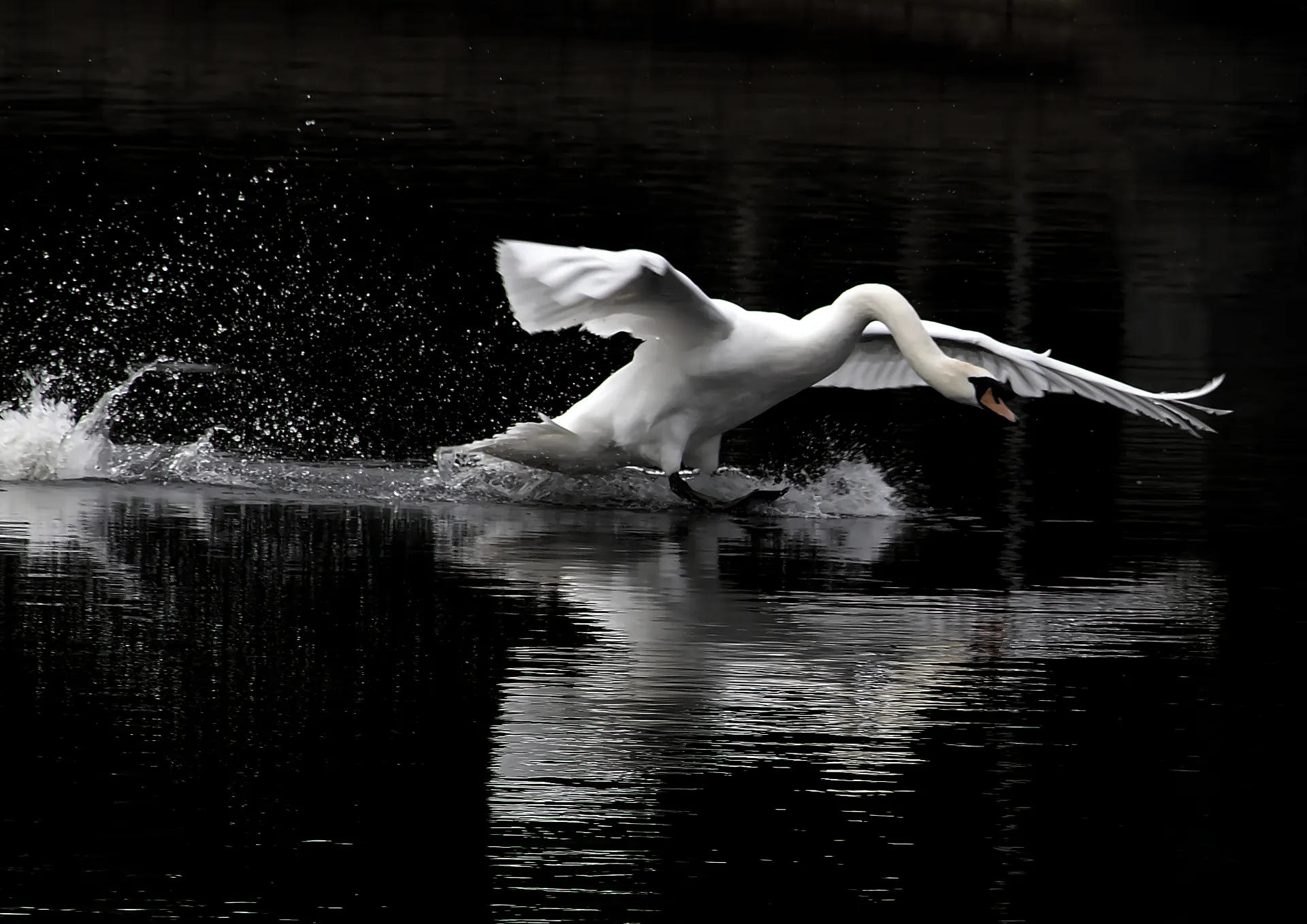 Splash Landing