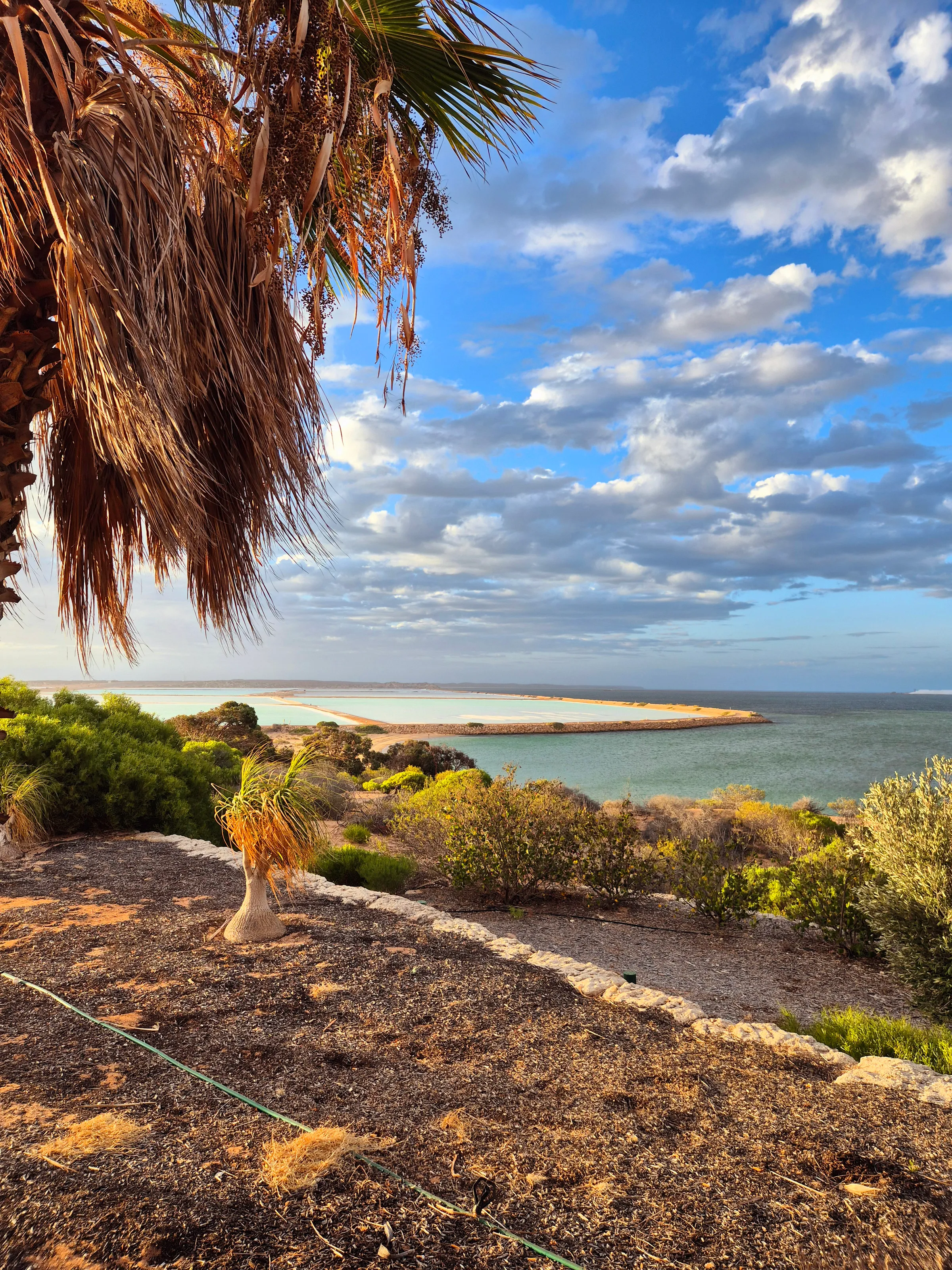 Stillness of the Salt Coast