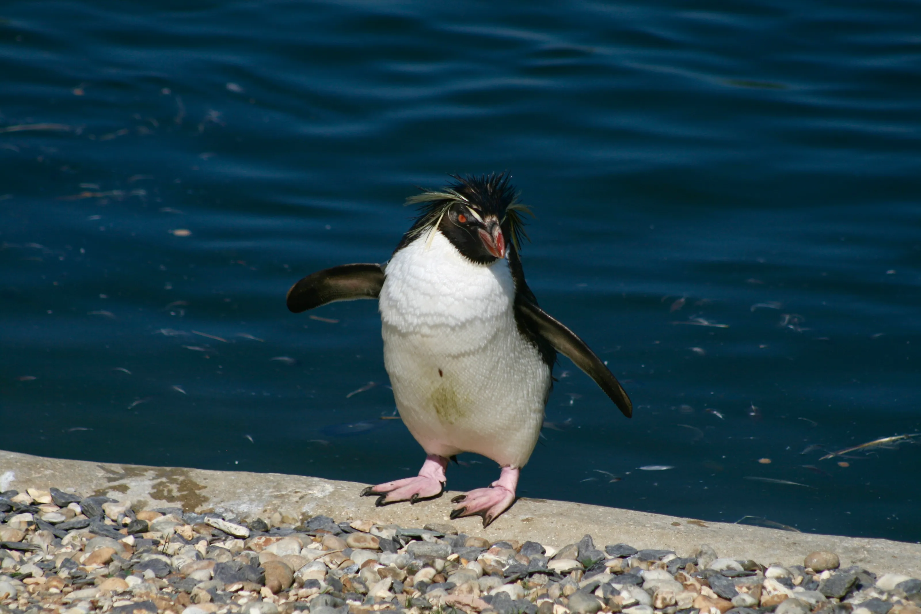 Just drying off