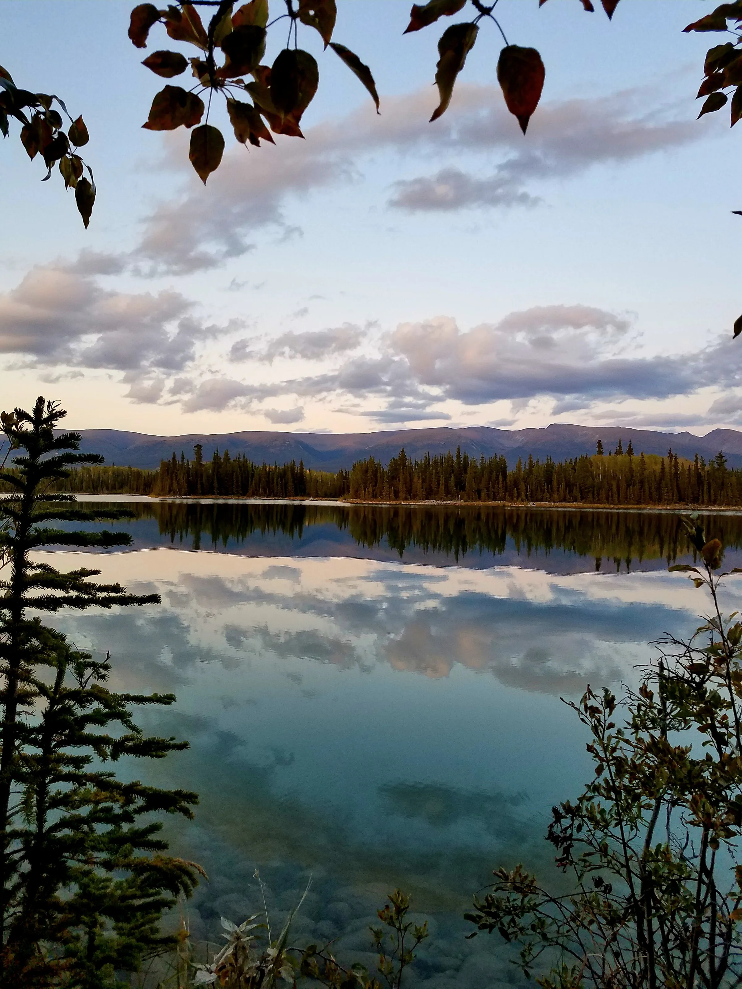 Serenity