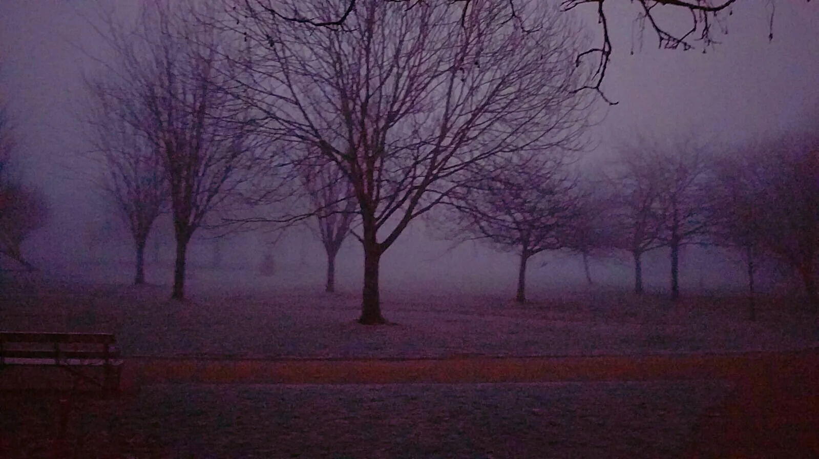 Freeze trees