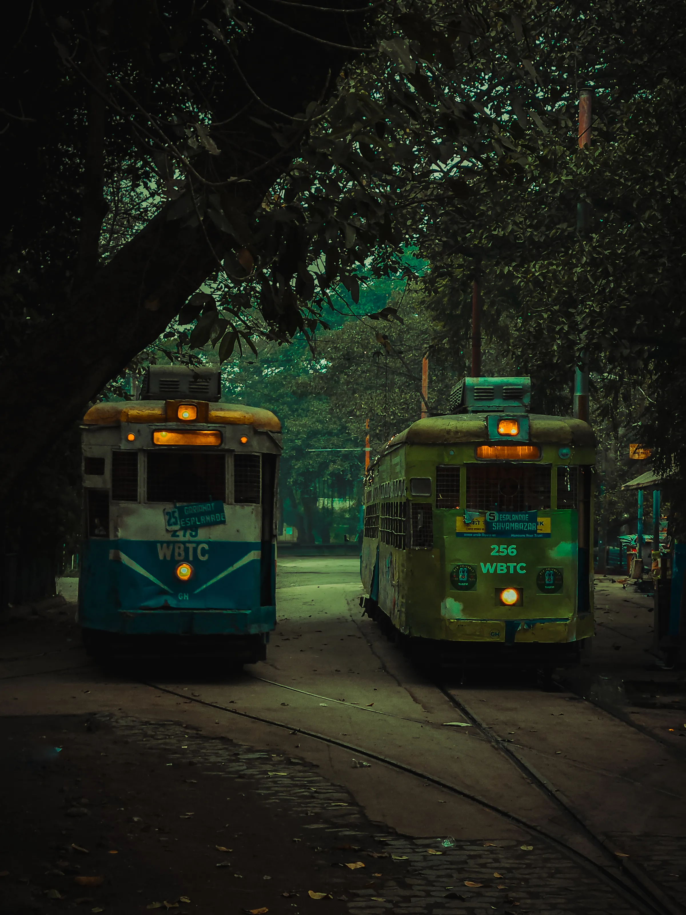 Tram on the streets of kolkata
