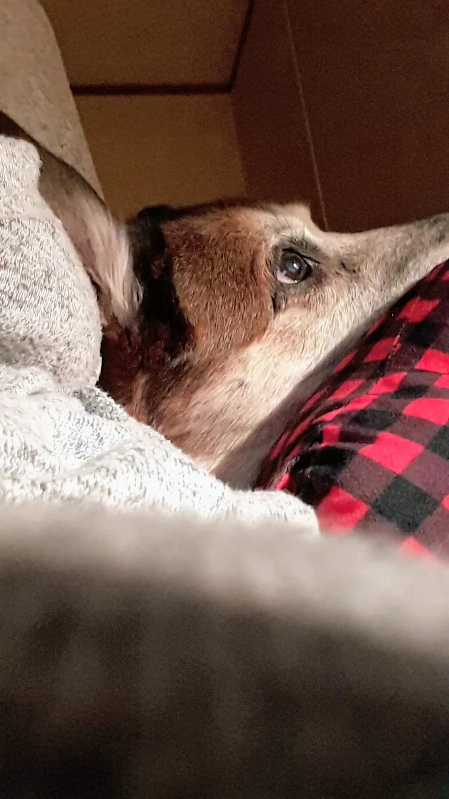 Deep in thought